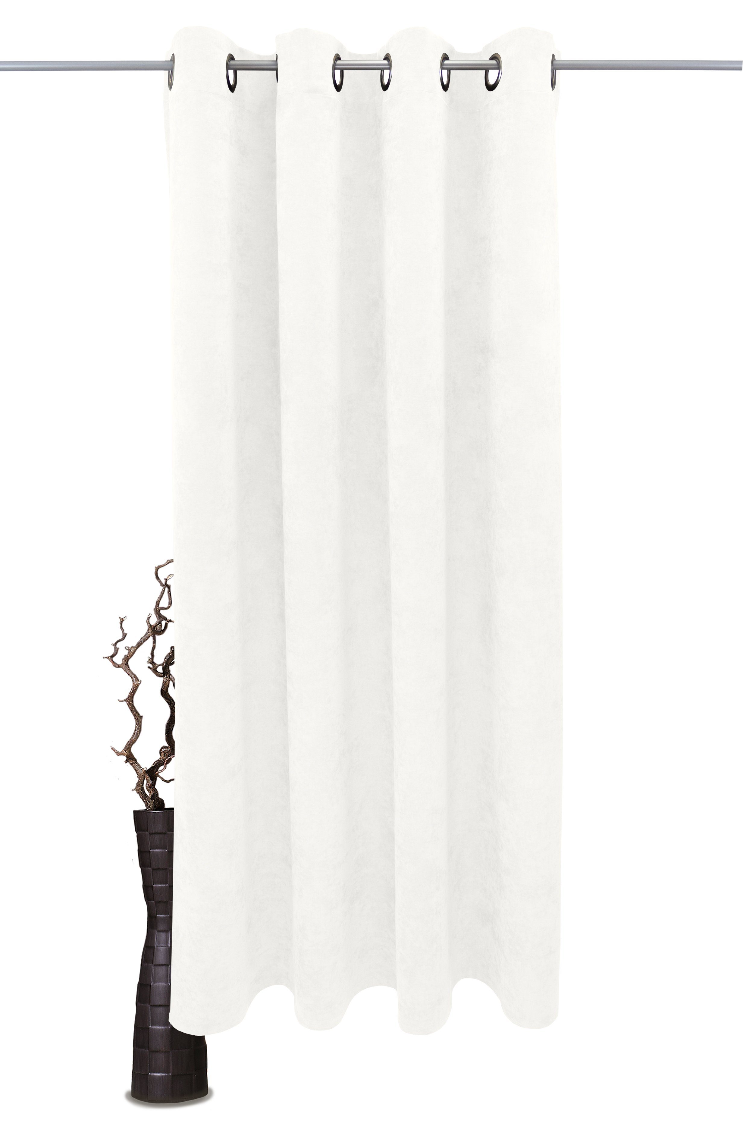 VHG Vorhang Velvet, Ösen (1 St), günstig online kaufen