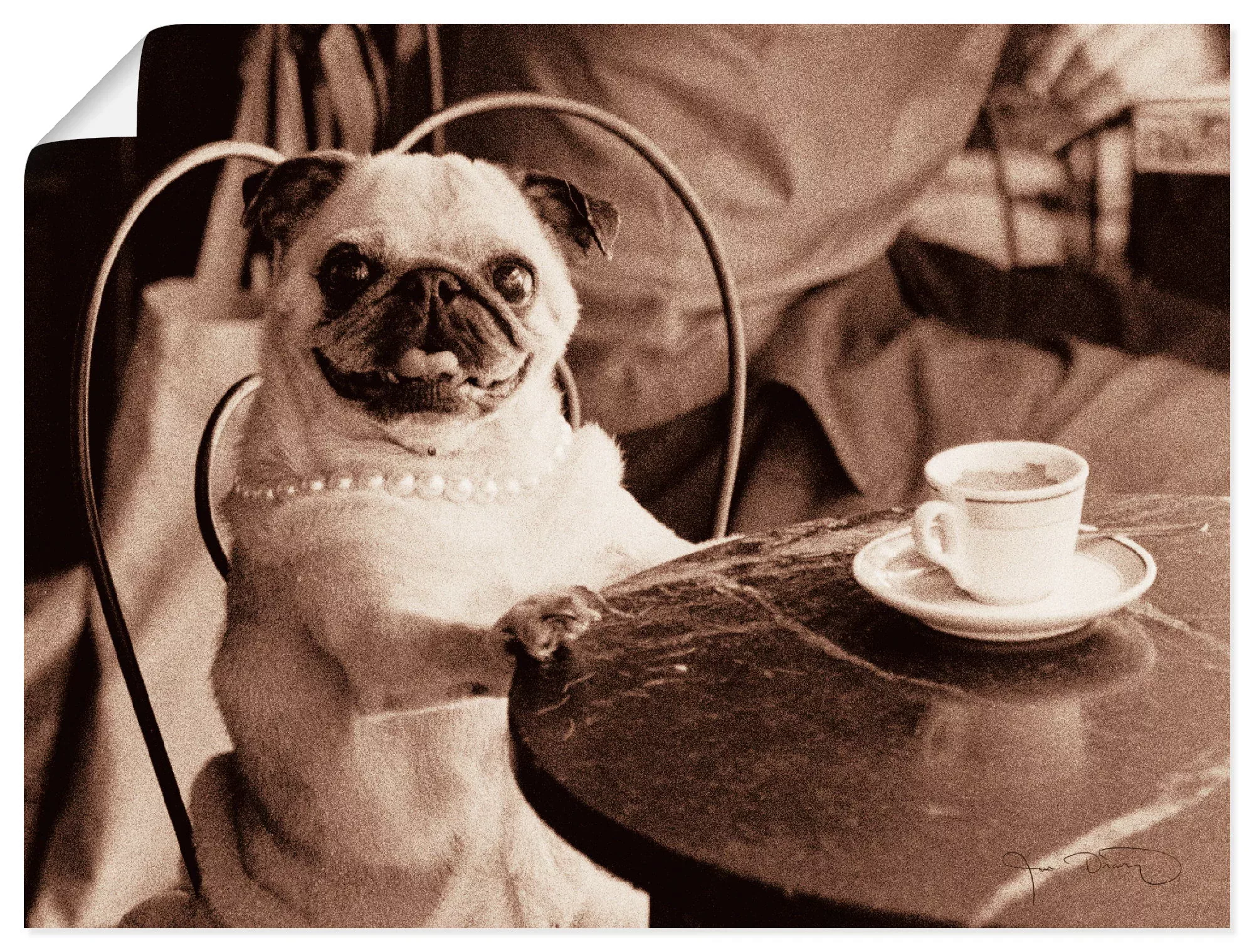 Artland Wandbild »Kaffee Mops«, Haustiere, (1 St.) günstig online kaufen