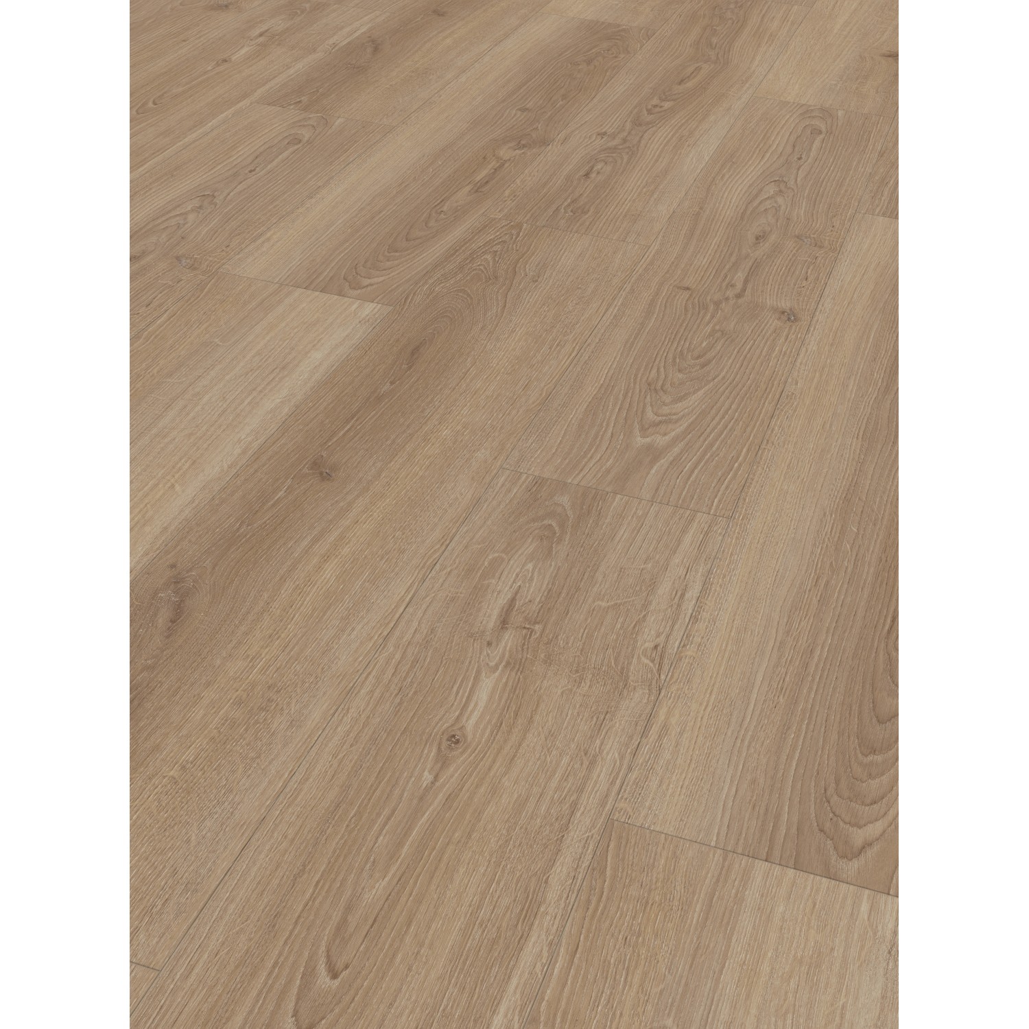 Parador Laminatboden Basic 600 Landhausdiele Studioline LHD Eiche günstig online kaufen