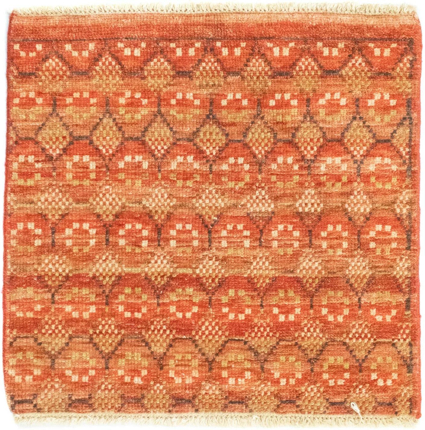 morgenland Wollteppich »Designer Teppich handgeknüpft orange«, quadratisch günstig online kaufen