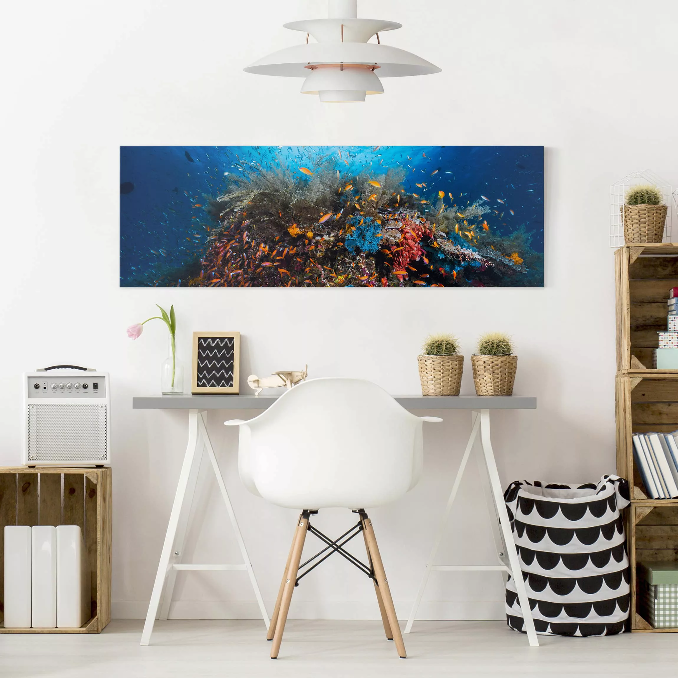 Leinwandbild - Panorama Lagune mit Fischen günstig online kaufen