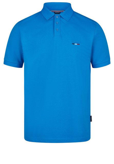 HECHTER PARIS Poloshirt Pique H-Eco (1-tlg) günstig online kaufen