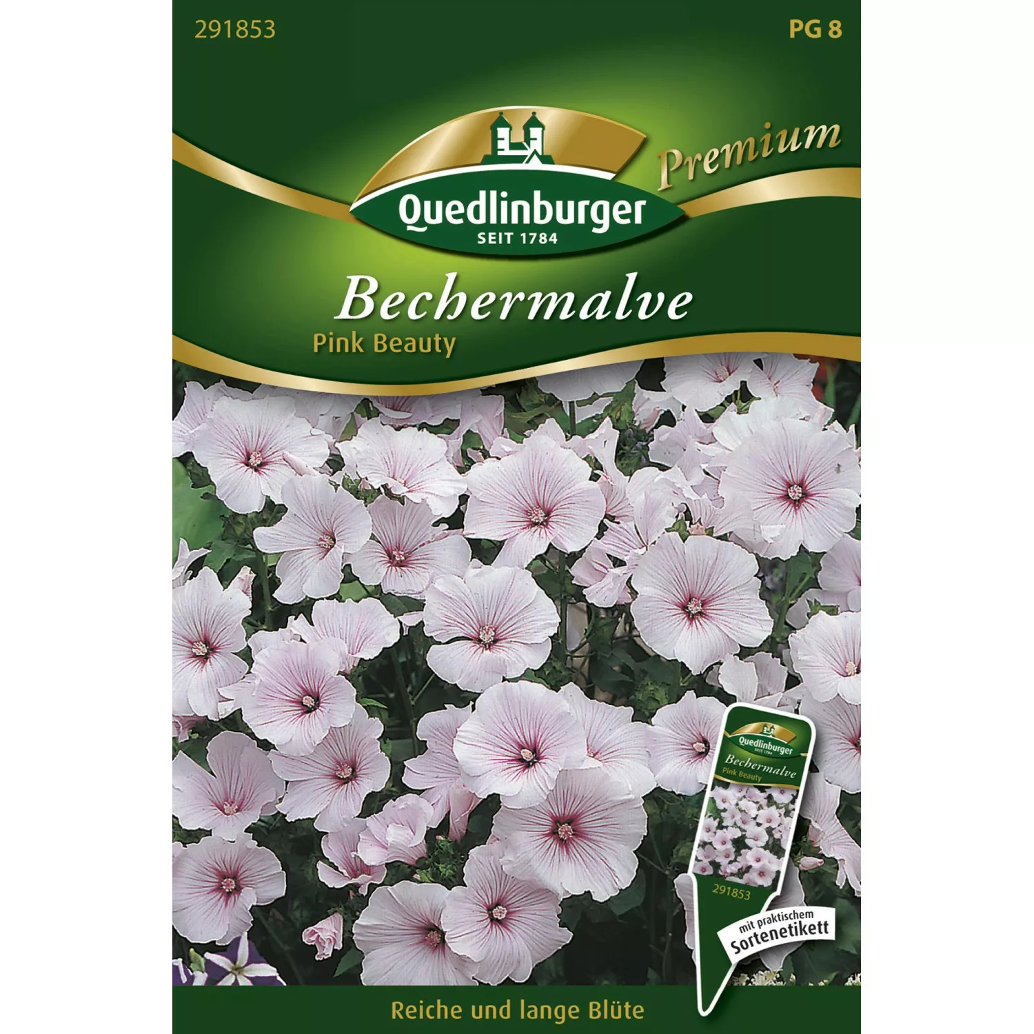 Quedlinburger Bechermalve ''Pink Beauty'' günstig online kaufen