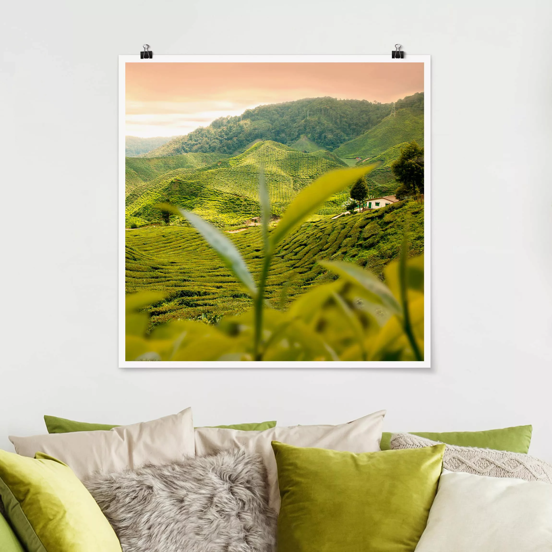 Poster Natur & Landschaft - Quadrat Teagarden günstig online kaufen