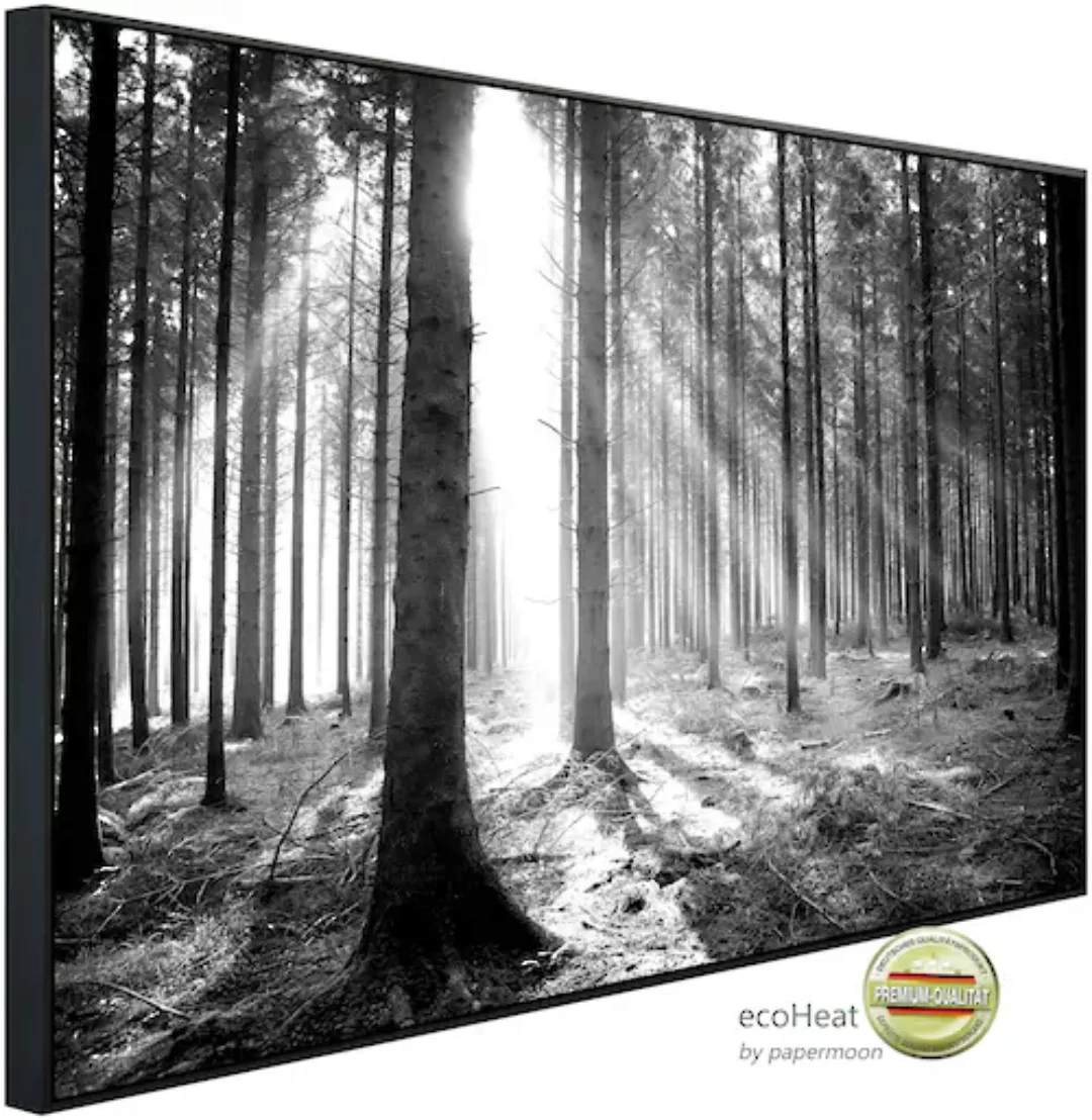 Papermoon Infrarotheizung »Wald Schwarz & Weiß« günstig online kaufen
