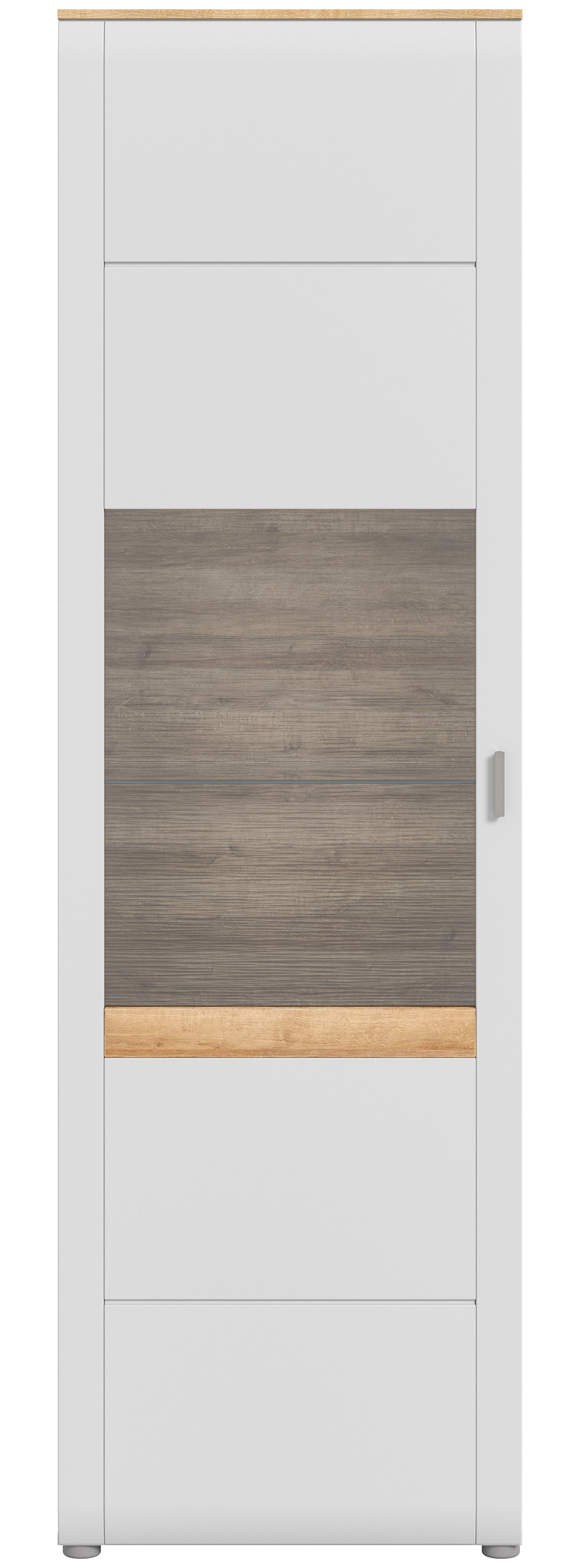 INOSIGN Standvitrine "Aska, Höhe 202cm, Metallgriff, 1 Glastür, 1 Glaseinle günstig online kaufen