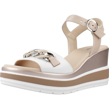 NeroGiardini  Sandalen E410530D günstig online kaufen