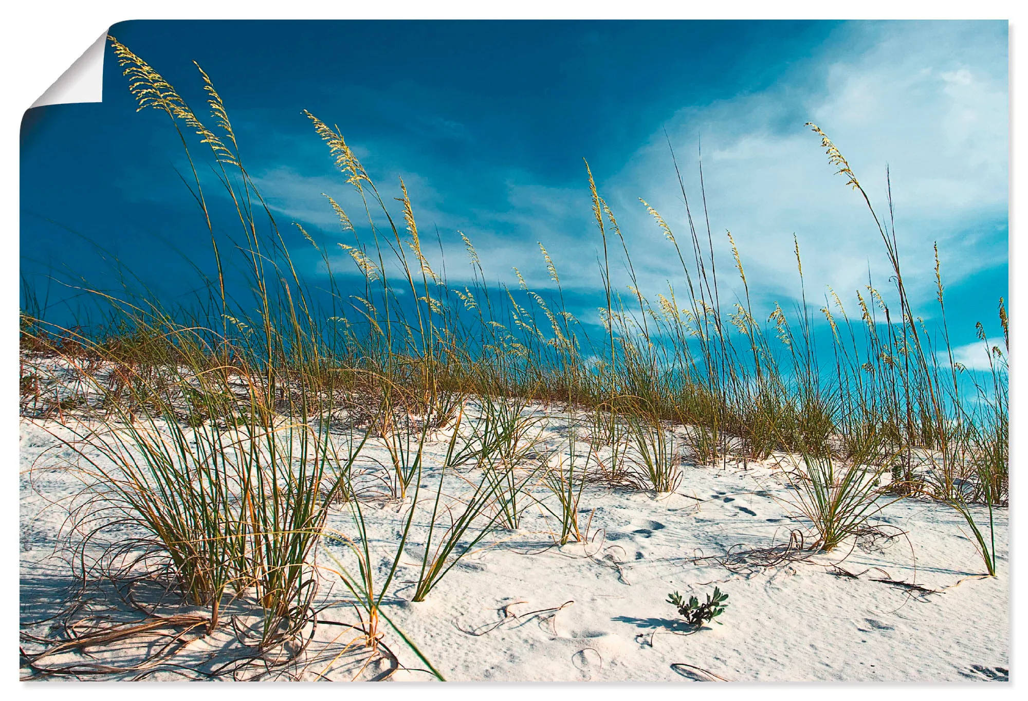 Artland Wandbild "Sanddüne und Gräser", Strand, (1 St.), als Alubild, Outdo günstig online kaufen
