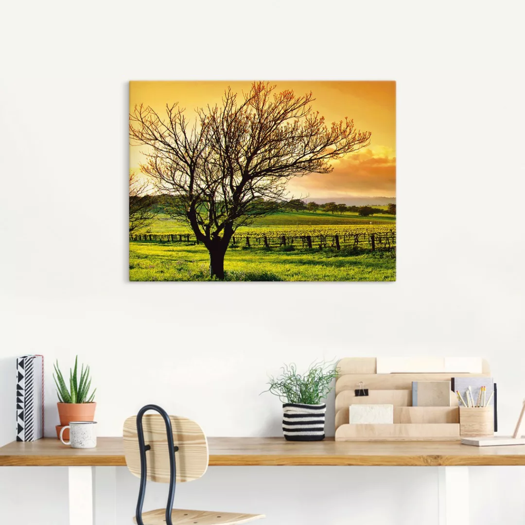 Artland Leinwandbild »Landschaft mit Weinbergen«, Felder, (1 St.), auf Keil günstig online kaufen
