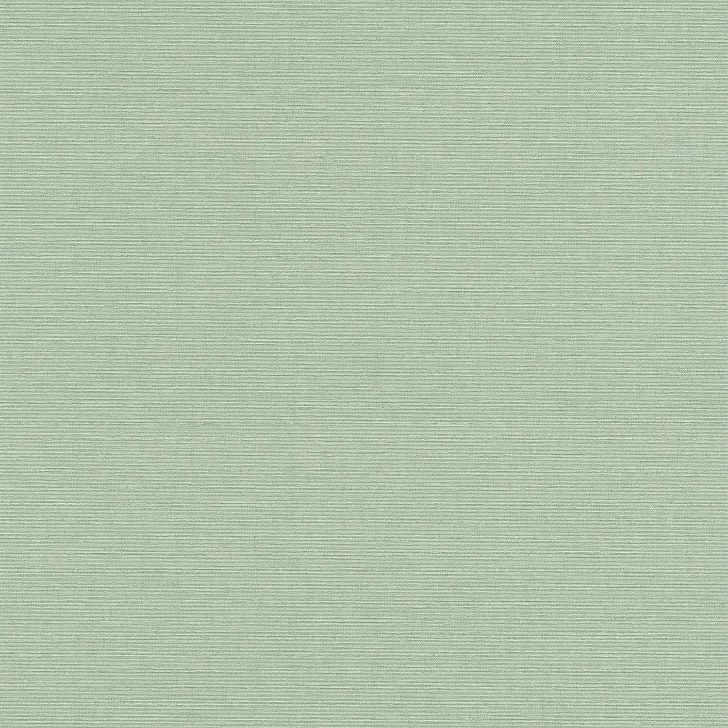 PROFHOME 371788-GU Ton-in-Ton Tapete Uni Matt Grün 0,53 m x 10,05 m 5,33 m2 günstig online kaufen