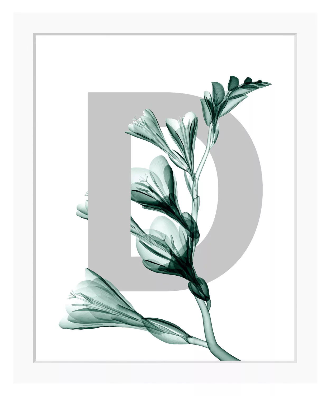 queence Bild "D-Flower", Buchstaben, Blume, Blätter, gerahmt günstig online kaufen