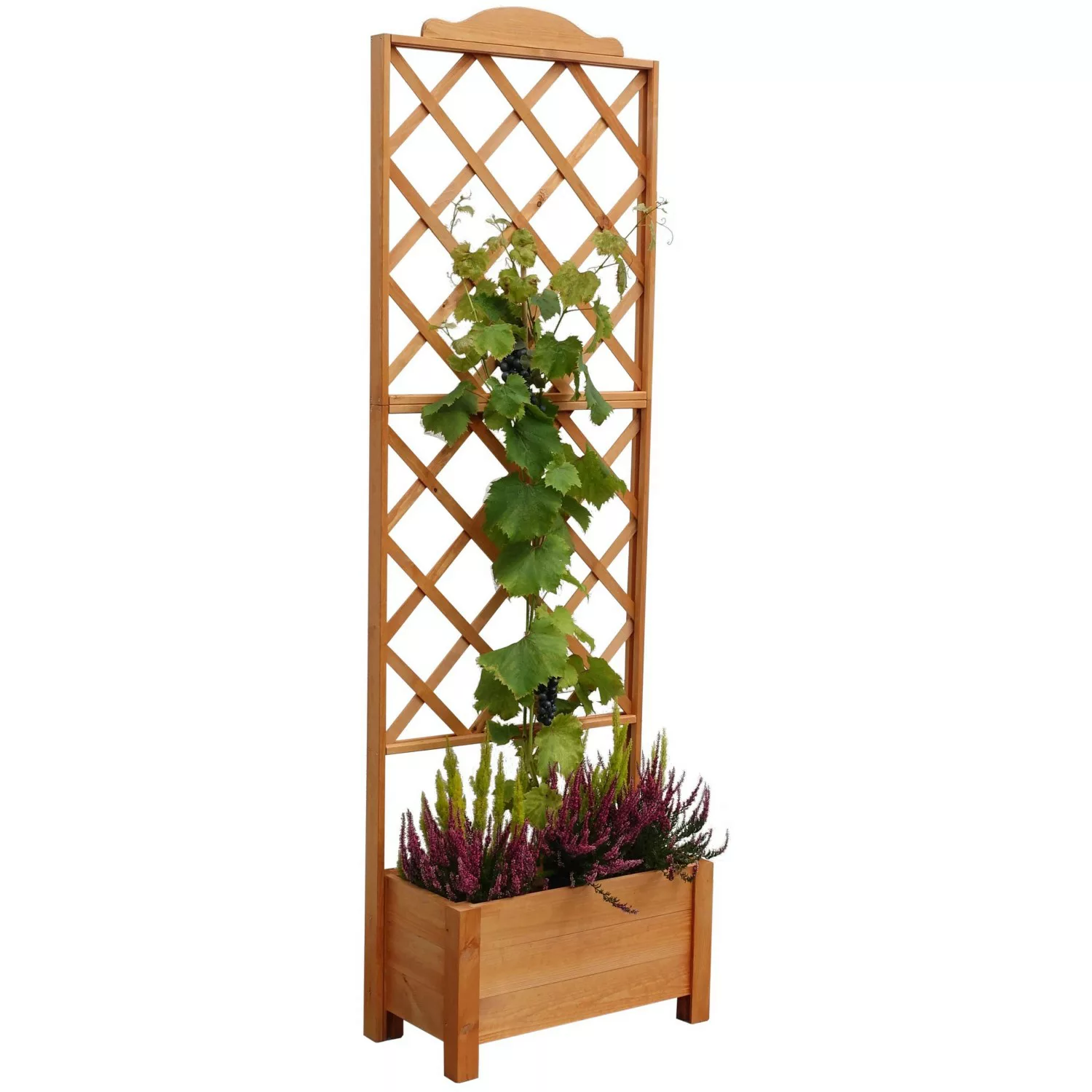 Pflanzkasten Botanica mit Spalier 210 cm x 69 cm x 32 cm günstig online kaufen