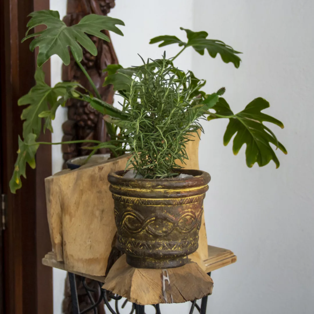 Blumentopf Vaso Azteca günstig online kaufen
