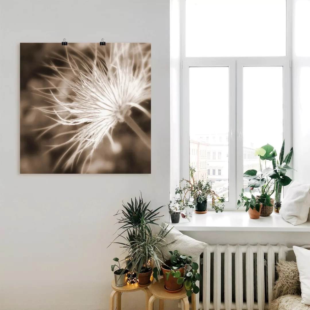 Artland Wandbild »leicht wie eine Feder«, Blumen, (1 St.), als Leinwandbild günstig online kaufen