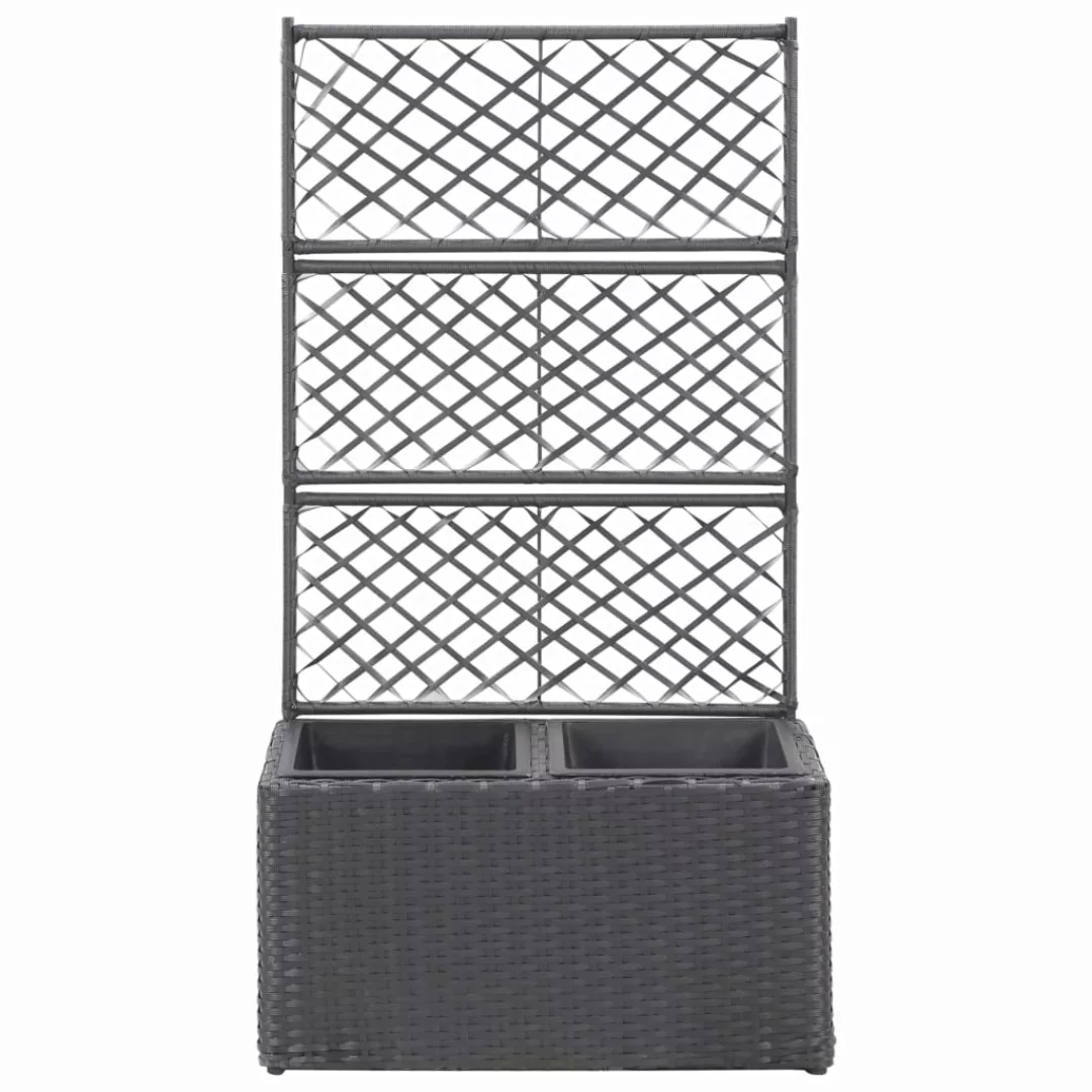 Hochbeet Mit Rankgitter 2 Töpfe 58ã30ã107cm Poly Rattan Schwarz günstig online kaufen