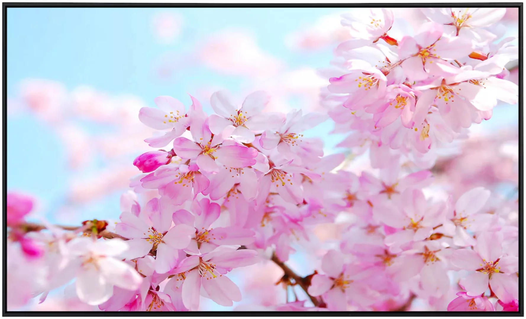 Papermoon Infrarotheizung »Kirschblüte«, sehr angenehme Strahlungswärme günstig online kaufen