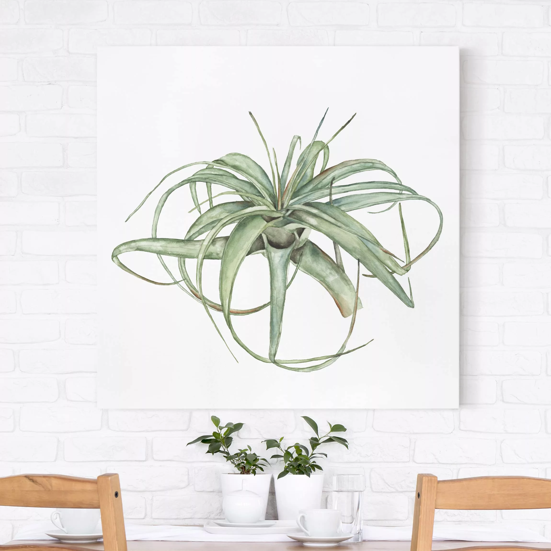 Leinwandbild Botanik - Quadrat Luftpflanze Aquarell I günstig online kaufen