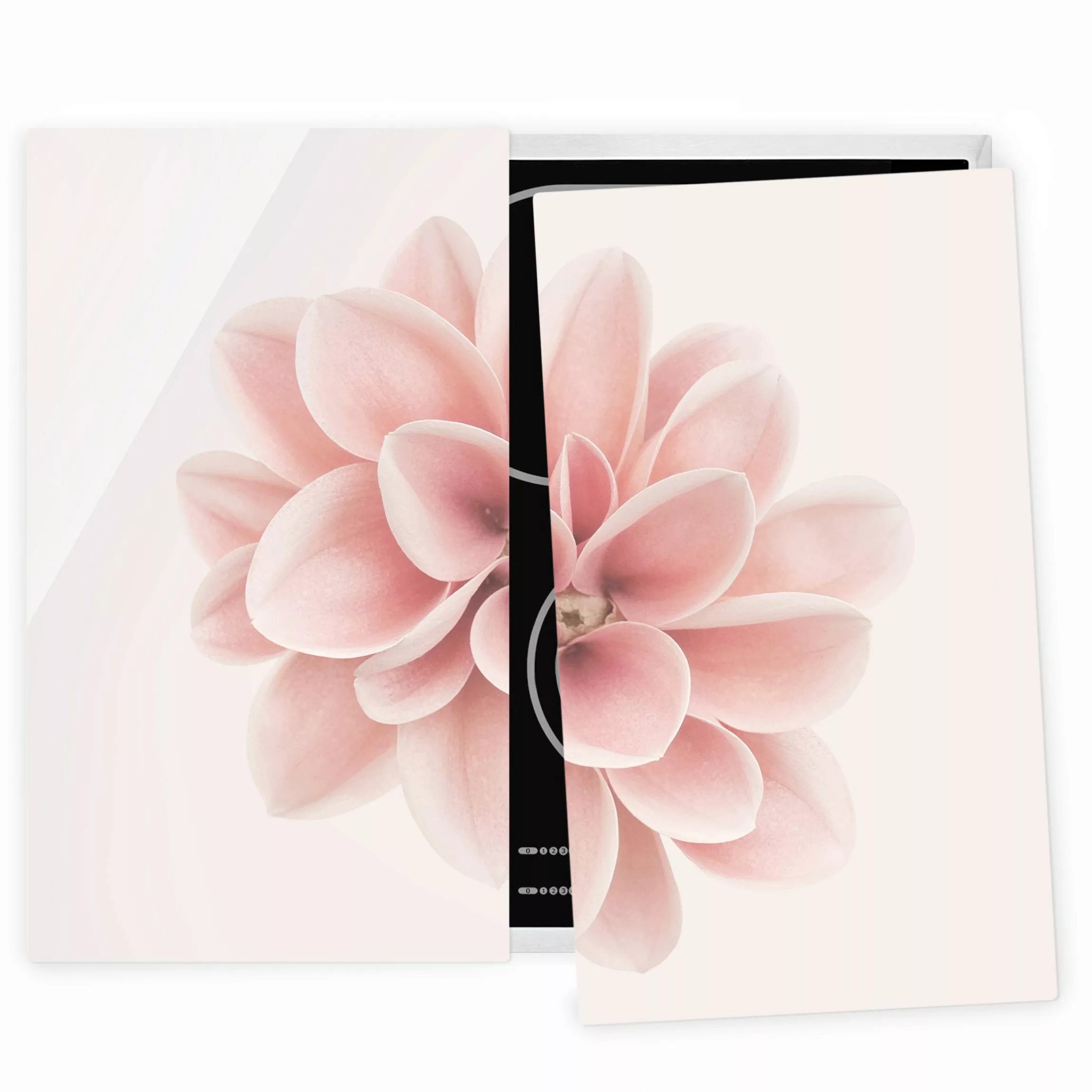 Herdabdeckplatte Blumen Dahlie Rosa Pastell Blume Zentriert günstig online kaufen