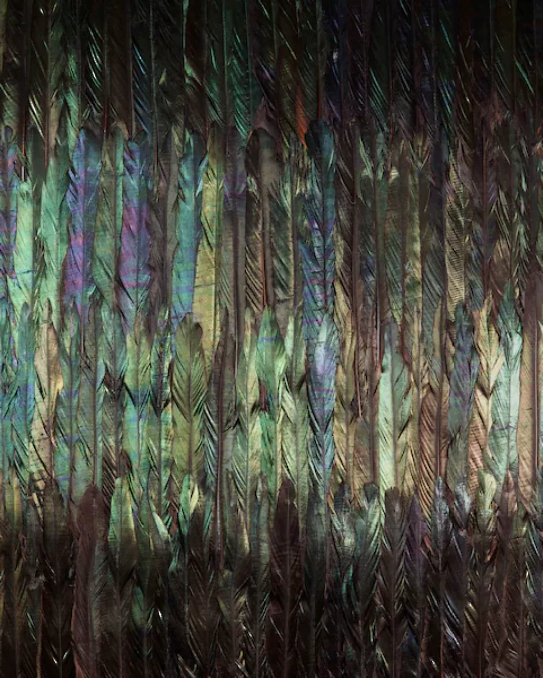 KOMAR Vlies Fototapete - Dark Wings  - Größe 200 x 250 cm mehrfarbig günstig online kaufen