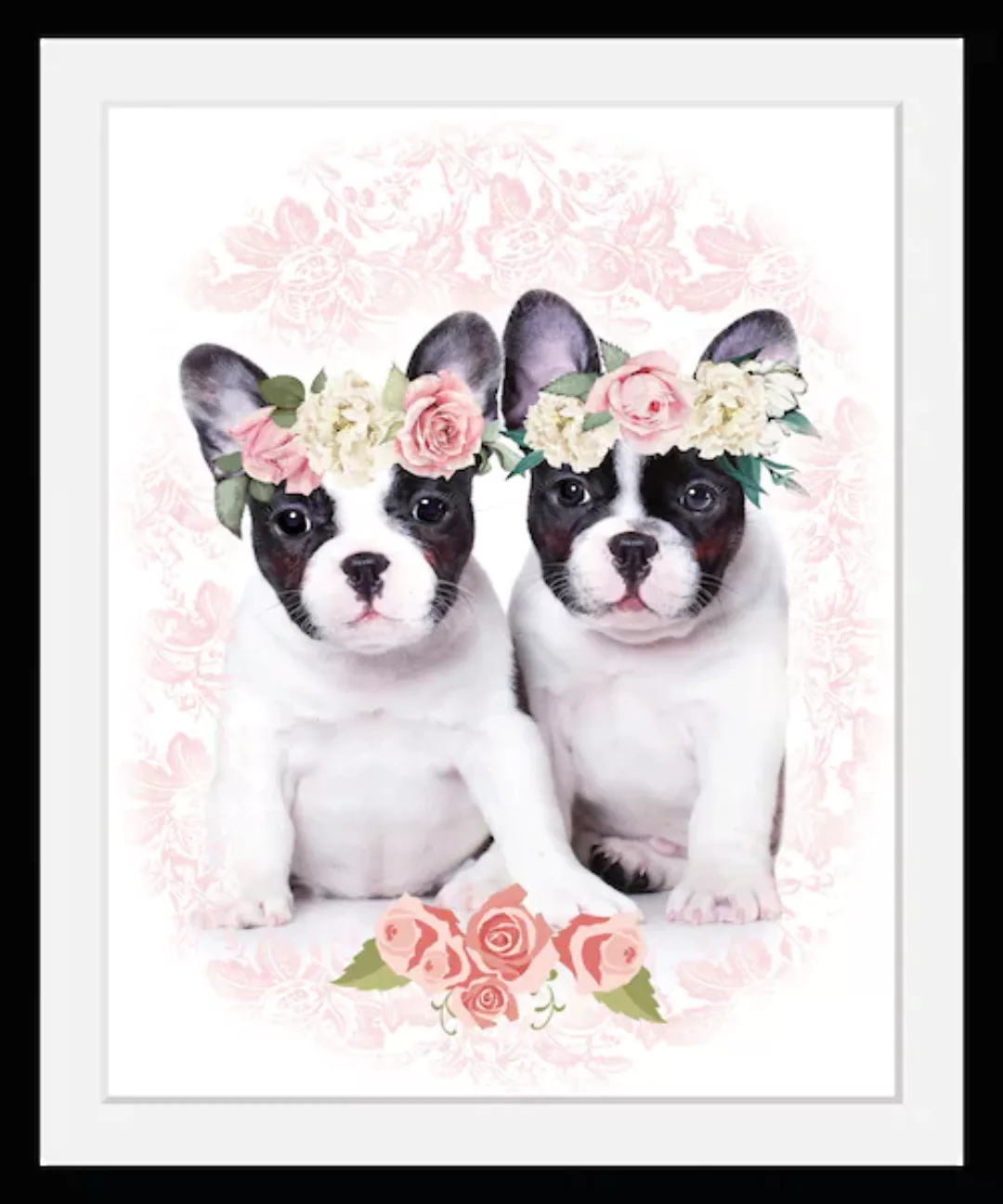 queence Bild »Zwillinge«, Hunde, (1 St.) günstig online kaufen