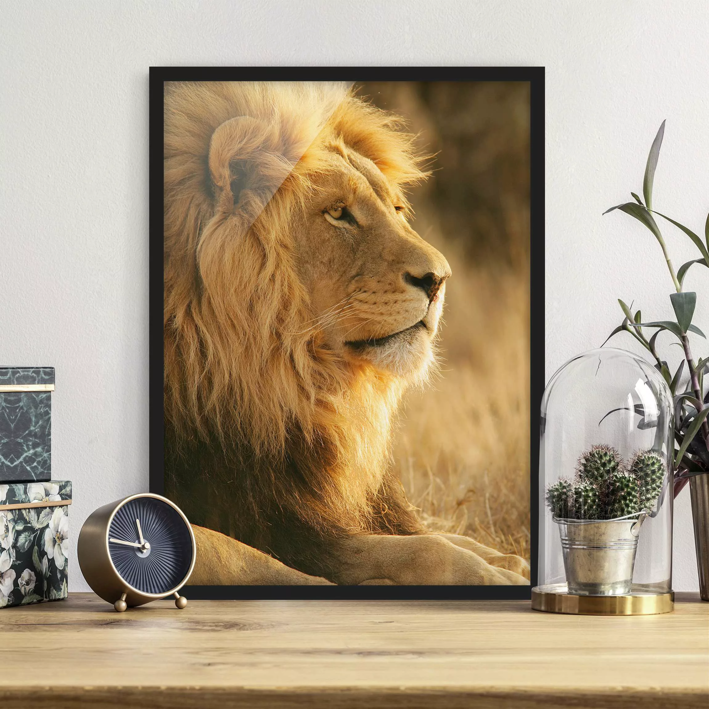 Bild mit Rahmen Tiere - Hochformat Löwenkönig günstig online kaufen