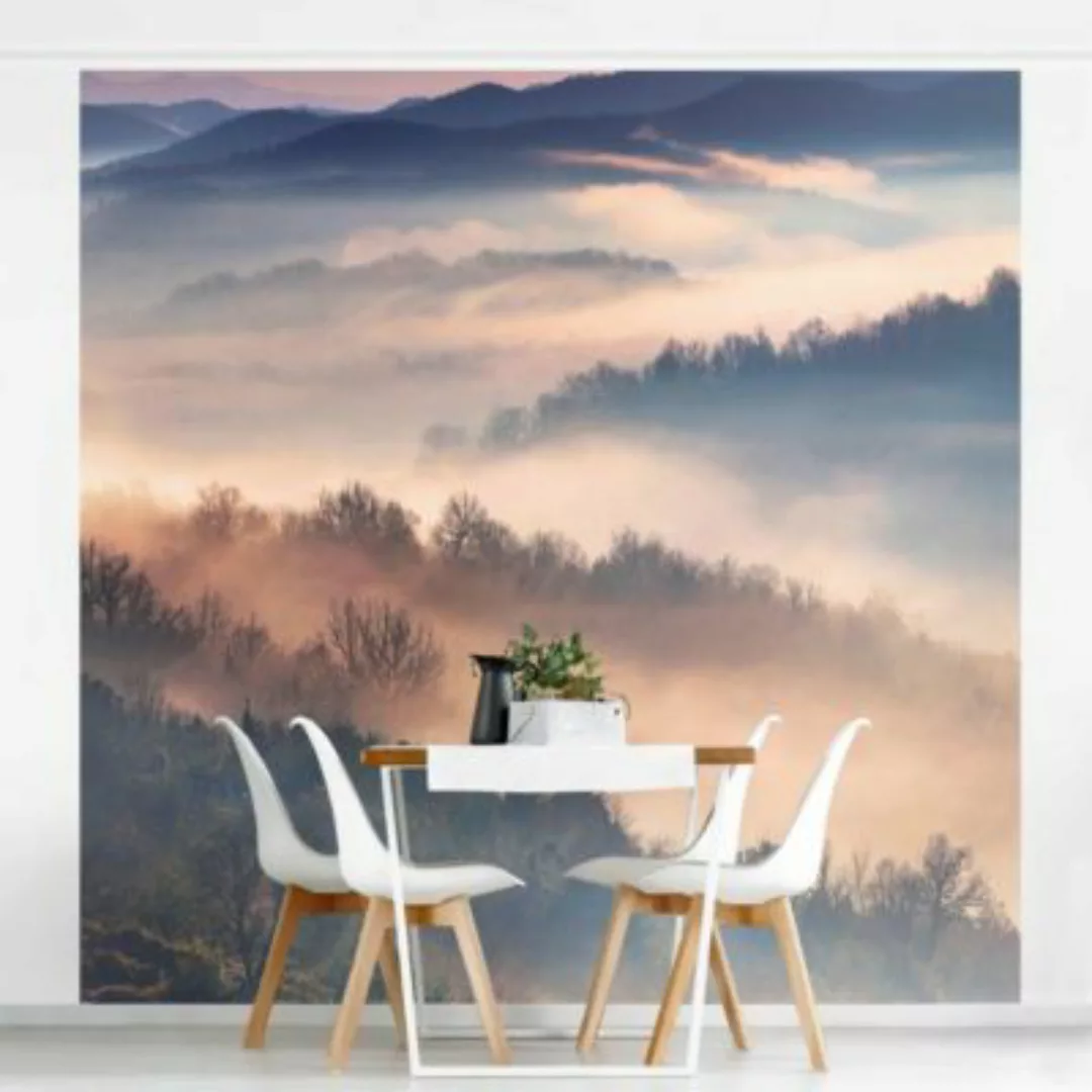 Bilderwelten Vliestapete Nebel bei Sonnenuntergang violett Gr. 240 x 240 günstig online kaufen