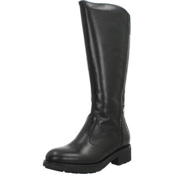 NeroGiardini  Stiefel I117662D günstig online kaufen