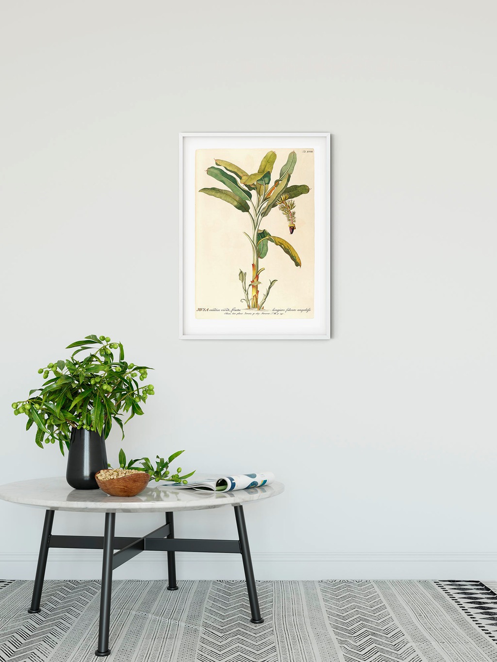 Komar Bild "Rainforest Sapling", Natur, (1 St.), Wandbild zur Dekoration - günstig online kaufen