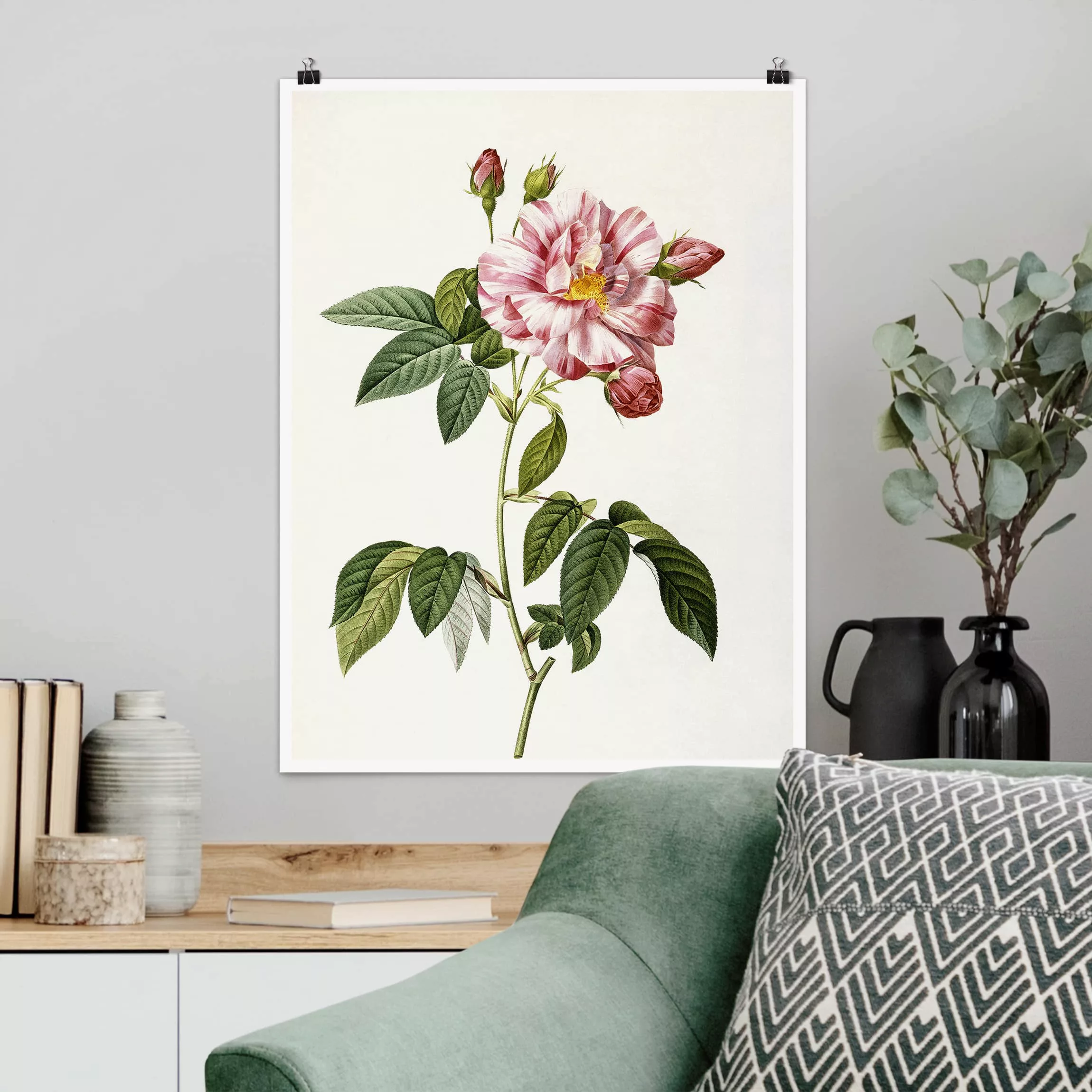 Poster Kunstdruck - Hochformat Pierre Joseph Redouté - Rosa Gallica-Rose günstig online kaufen