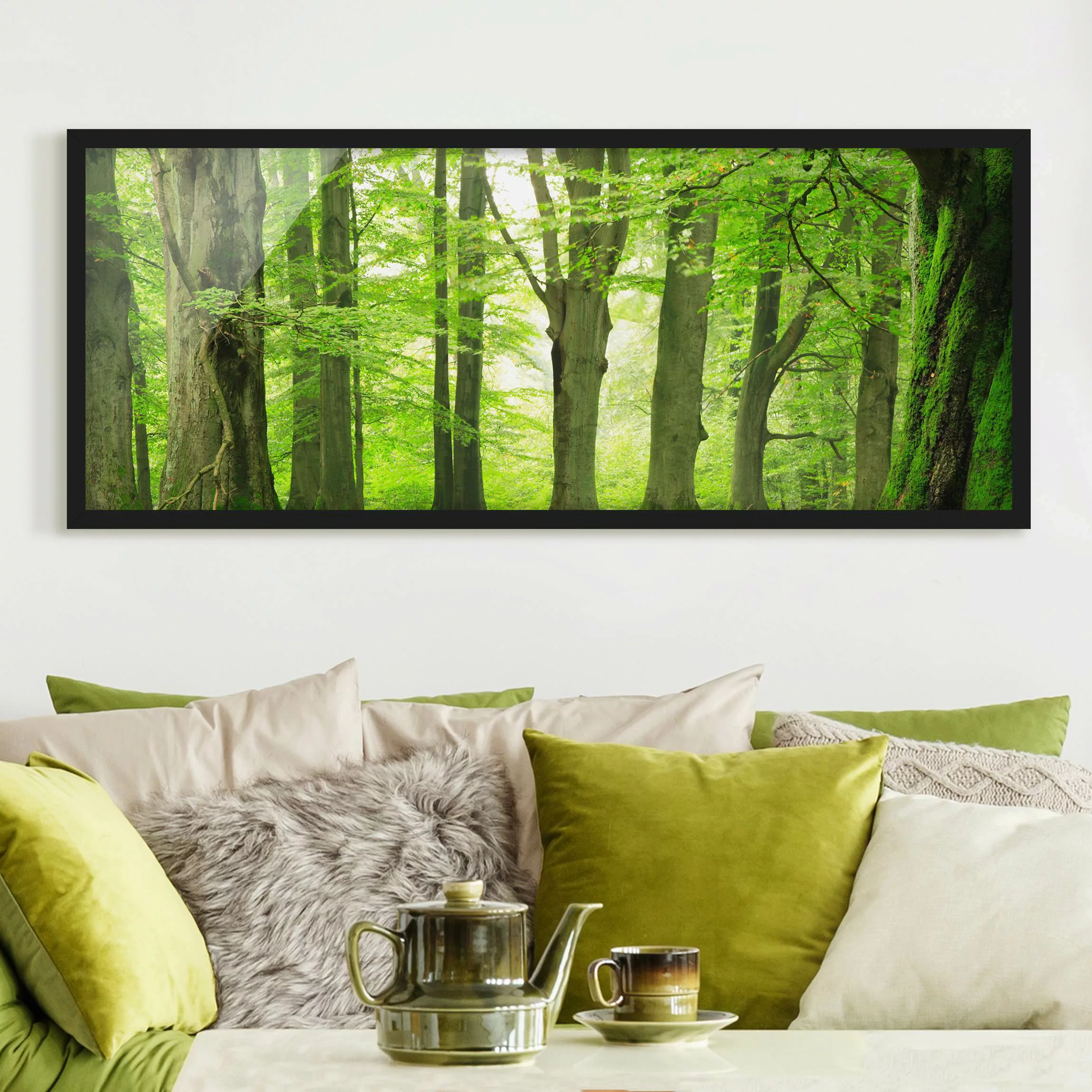Bild mit Rahmen Natur & Landschaft - Panorama Mighty Beech Trees günstig online kaufen