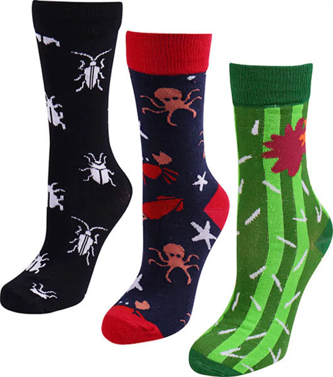 Capelli New York Socken, (Packung, 3 Paar) günstig online kaufen