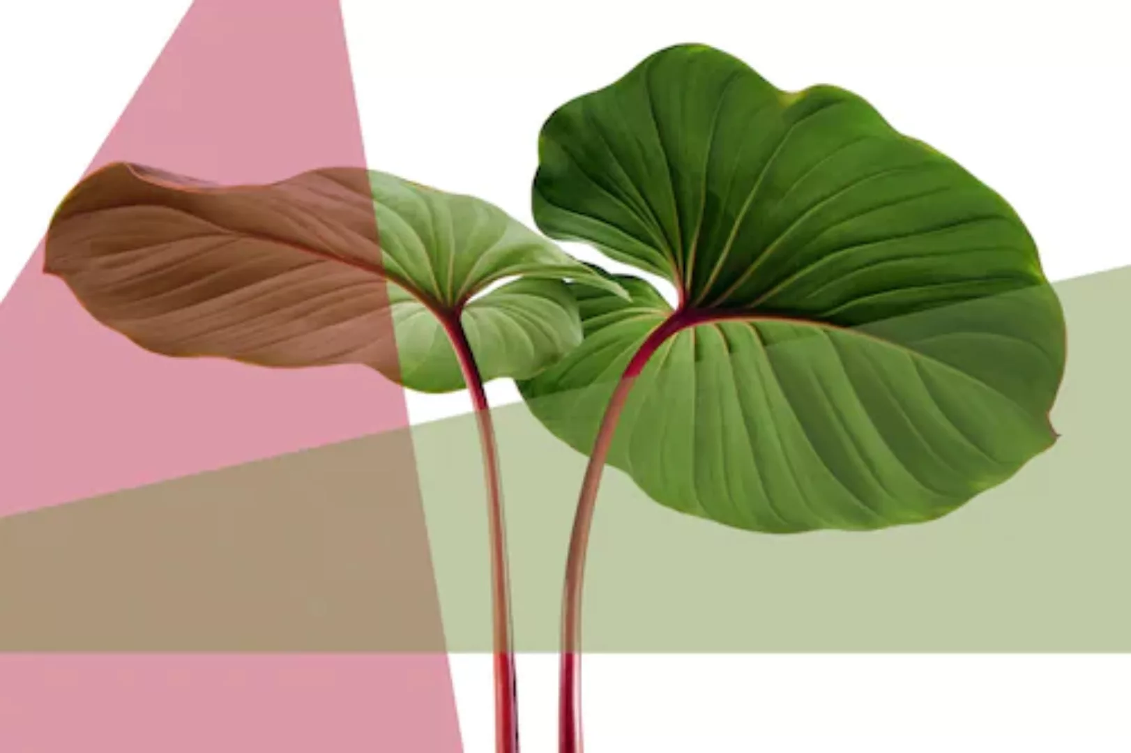 queence Acrylglasbild "Blätter" günstig online kaufen