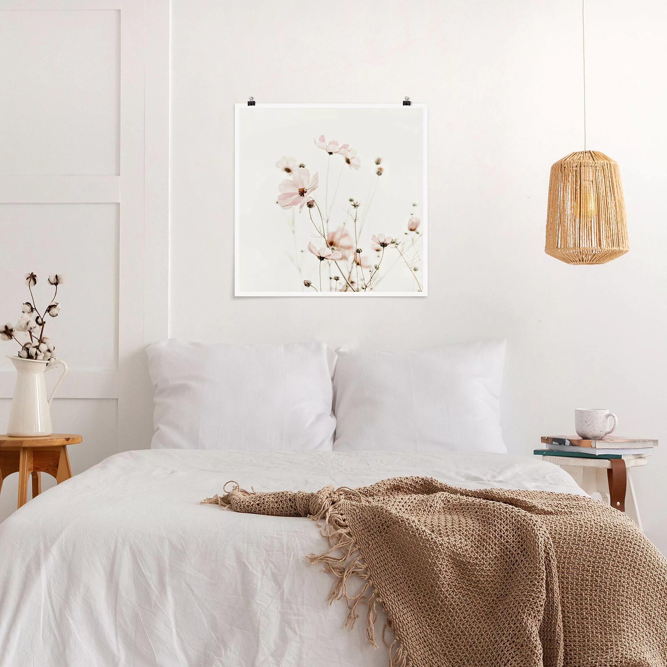 Poster Cosmea in zarten Cremetönen günstig online kaufen