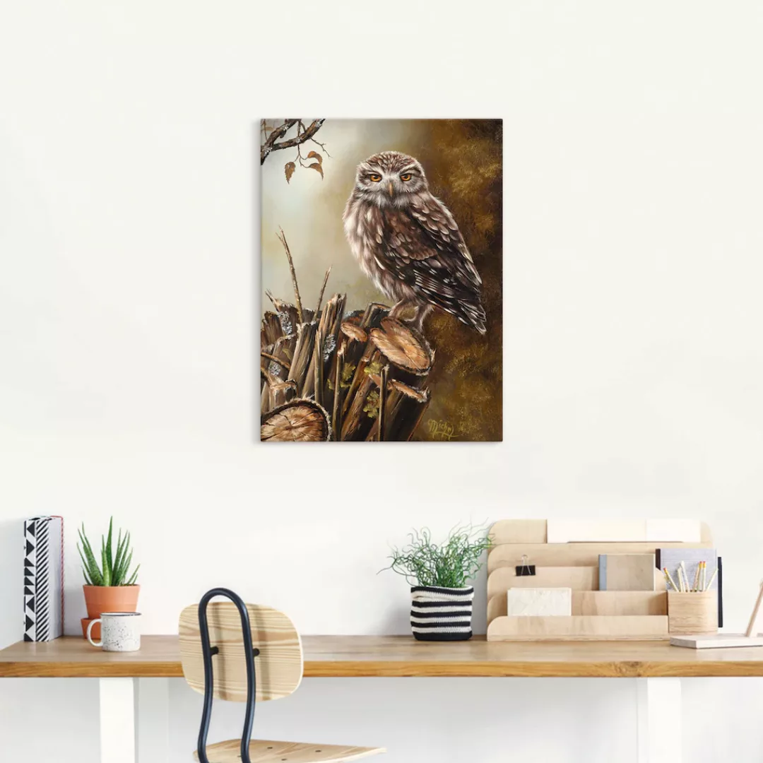 Artland Wandbild "Eule", Vögel, (1 St.), als Leinwandbild, Poster in versch günstig online kaufen