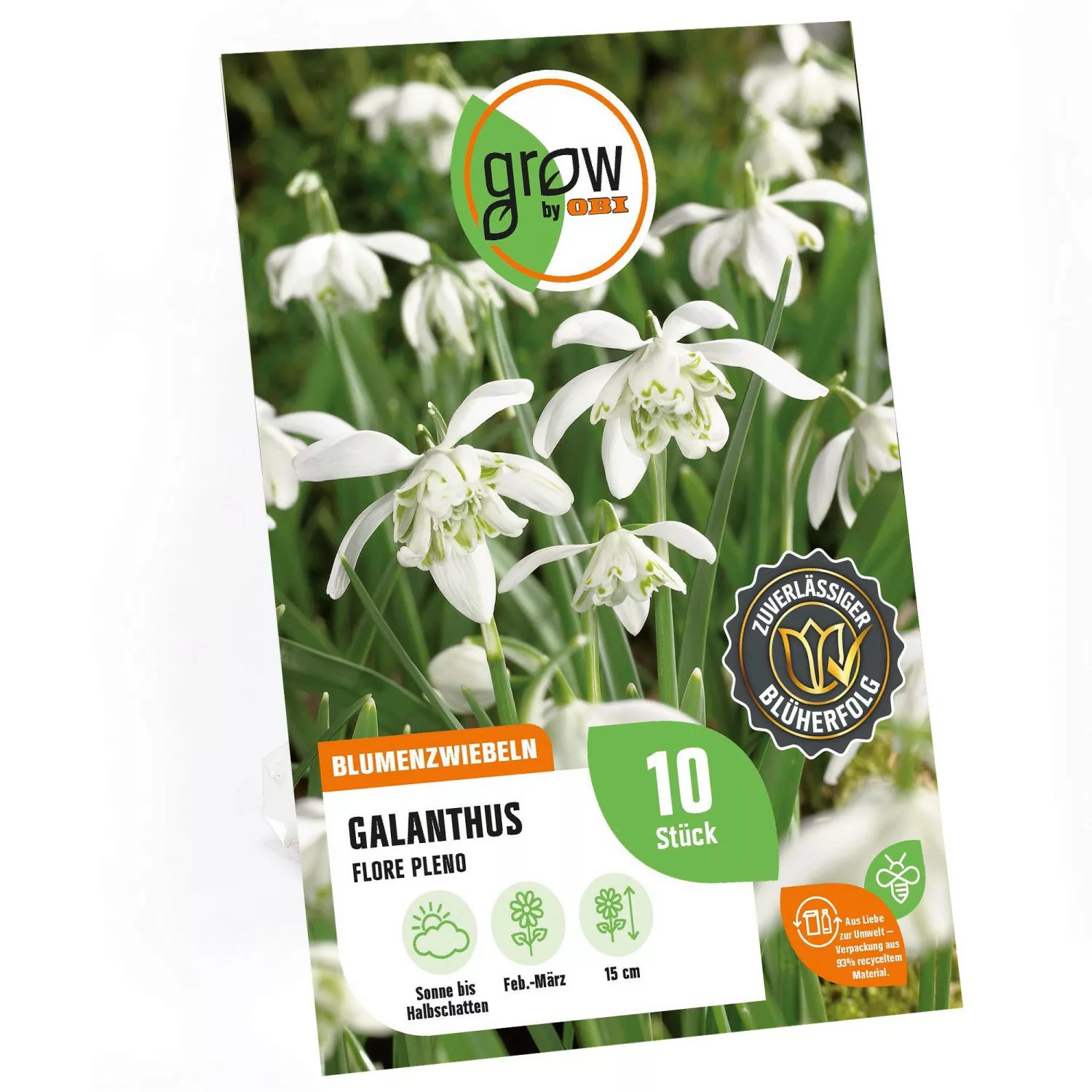 GROW by OBI Schneeglöckchen Flore Pleno Weiß 15 cm Galanthus nivalis günstig online kaufen