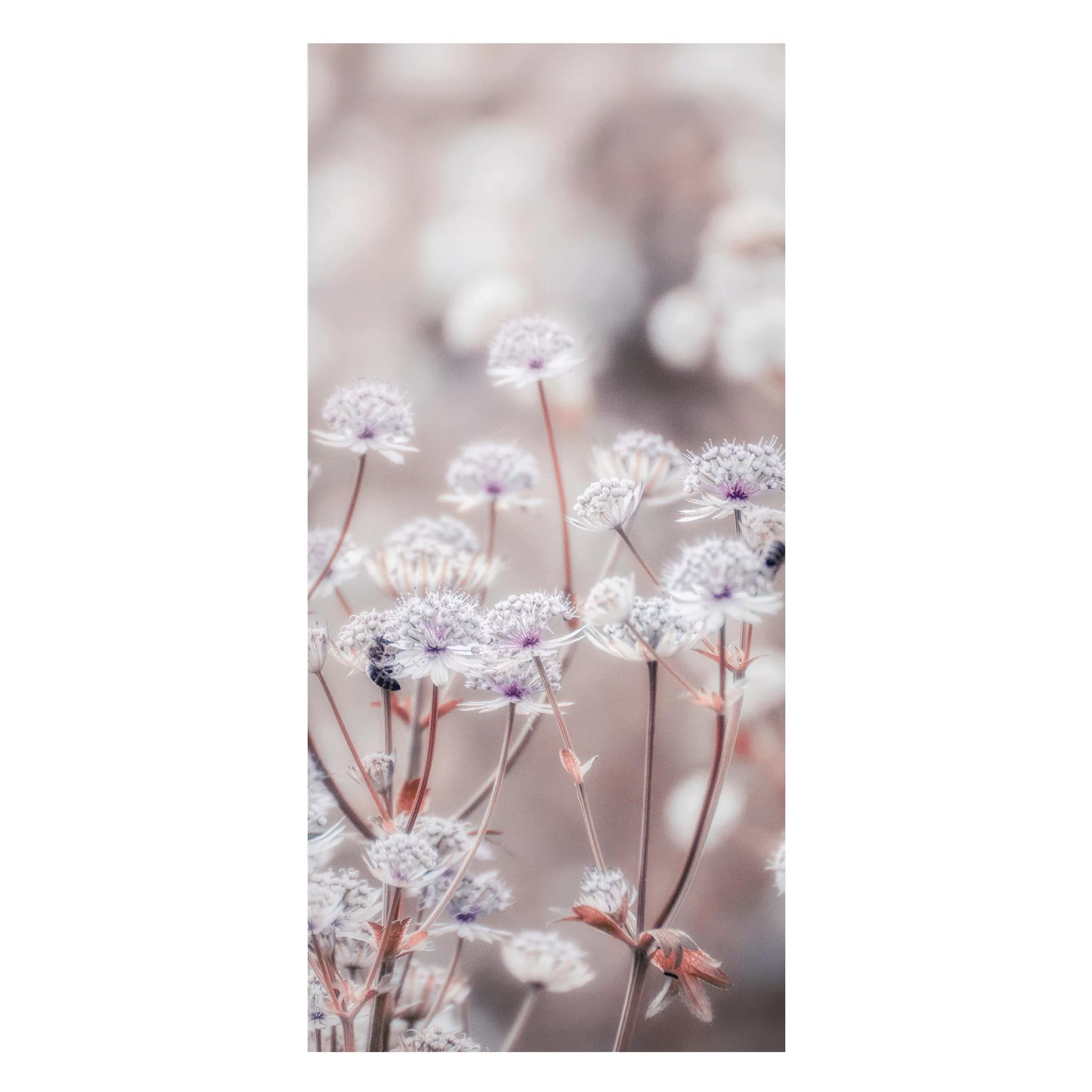 Magnettafel Federleichte Wildblumen günstig online kaufen