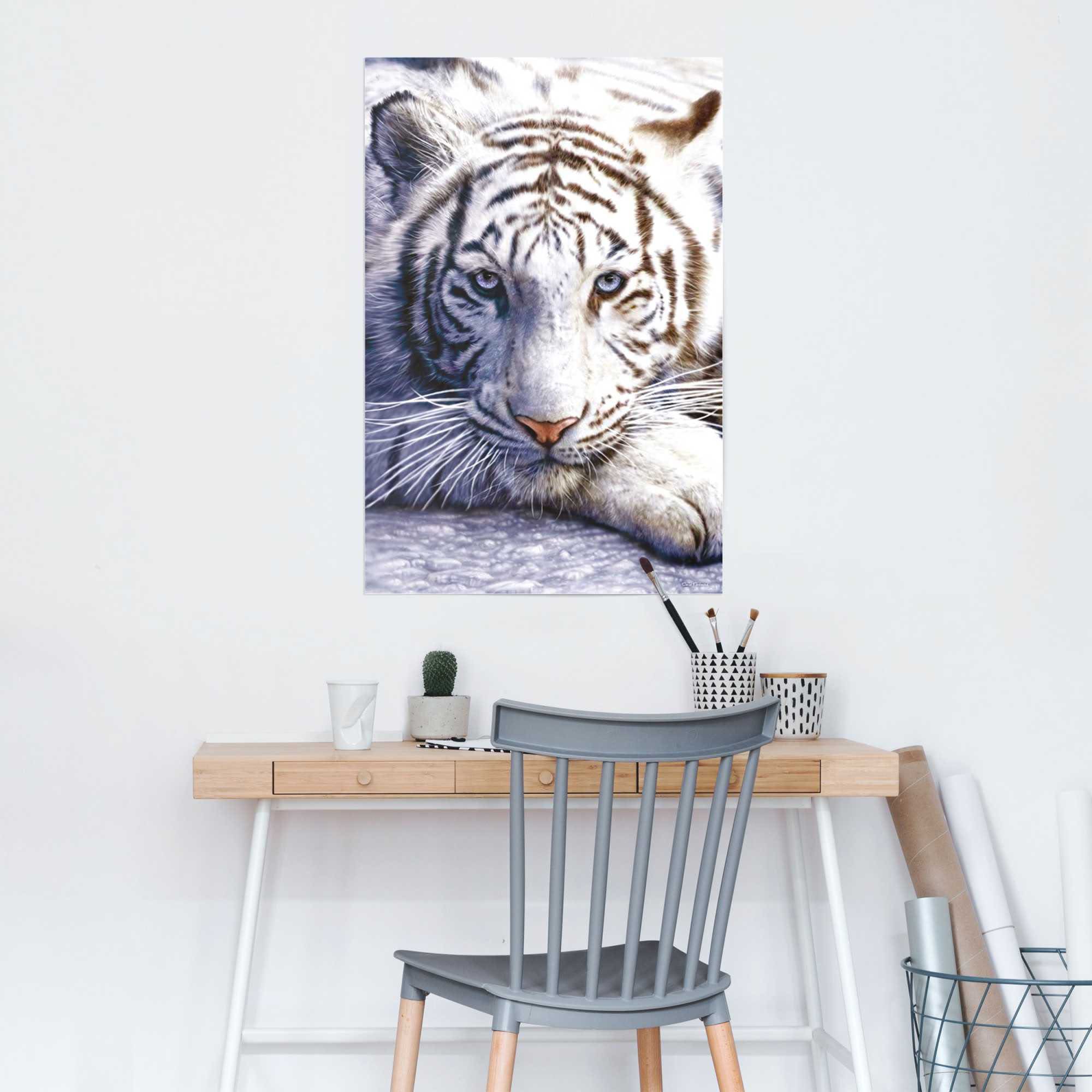 Reinders! Poster »Weißer Tiger«, (1 St.) günstig online kaufen