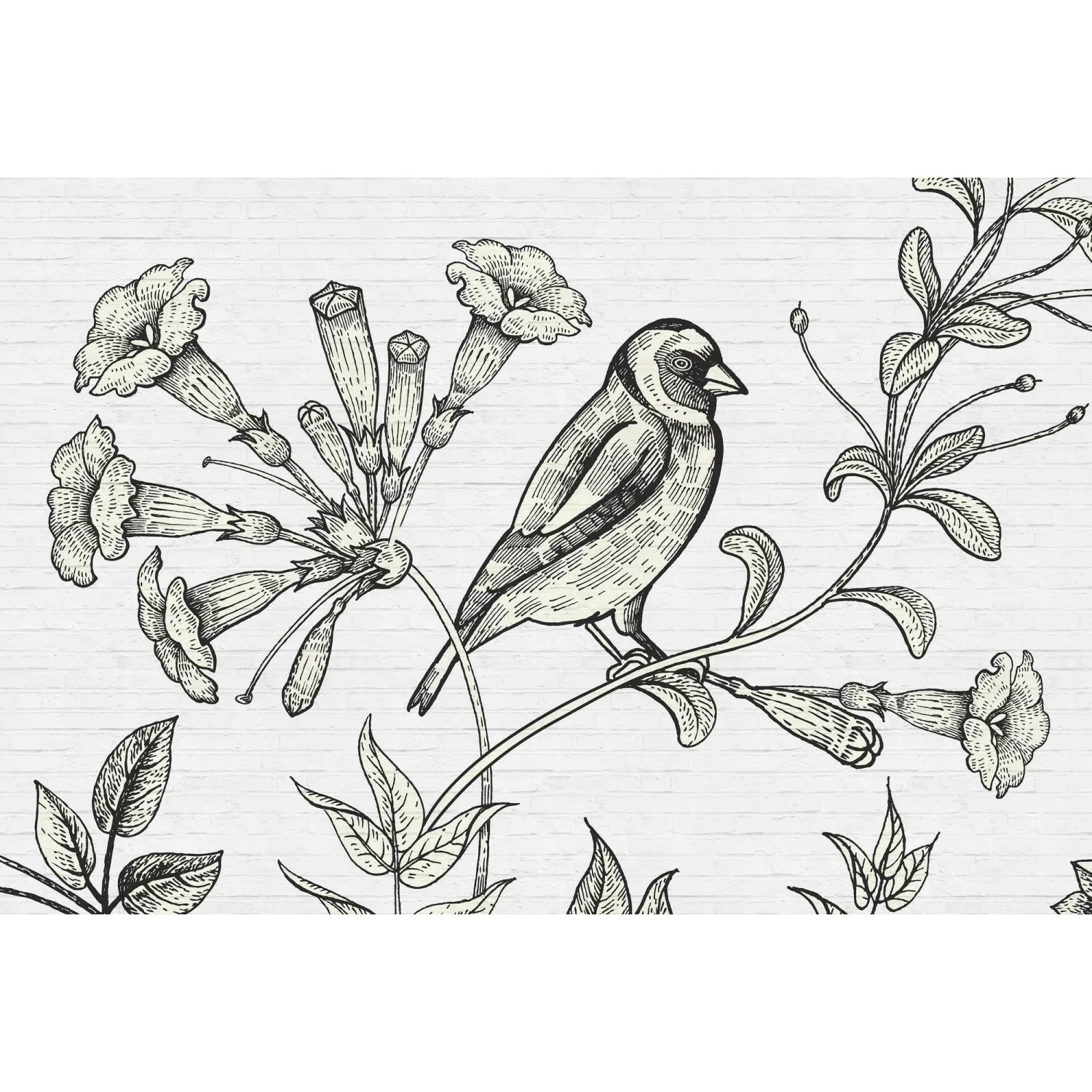 Fototapete Vogel Blumen Schwarz Weiß 4,00 m x 2,70 m FSC® günstig online kaufen