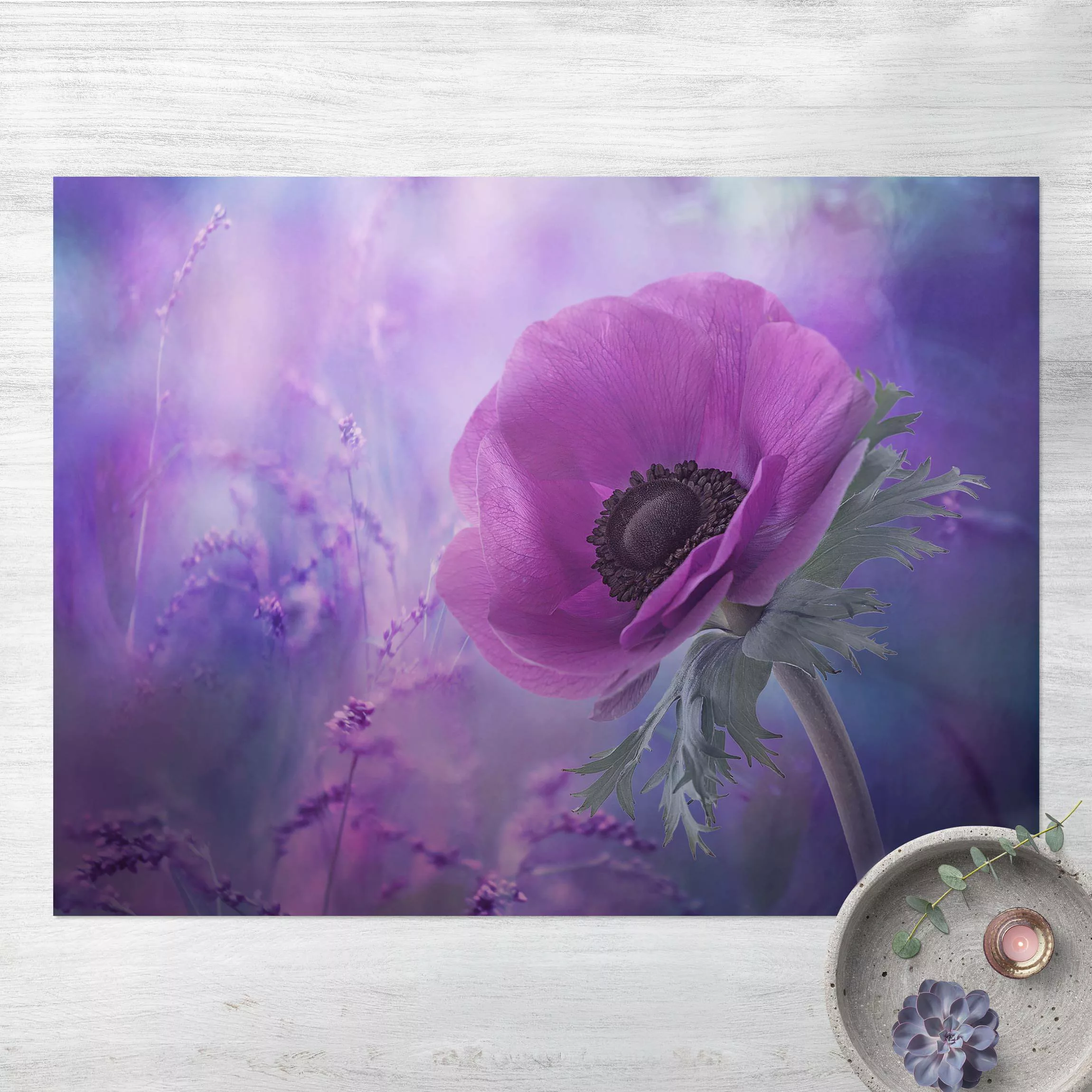 Vinyl-Teppich Anemonenblüte in Violett günstig online kaufen