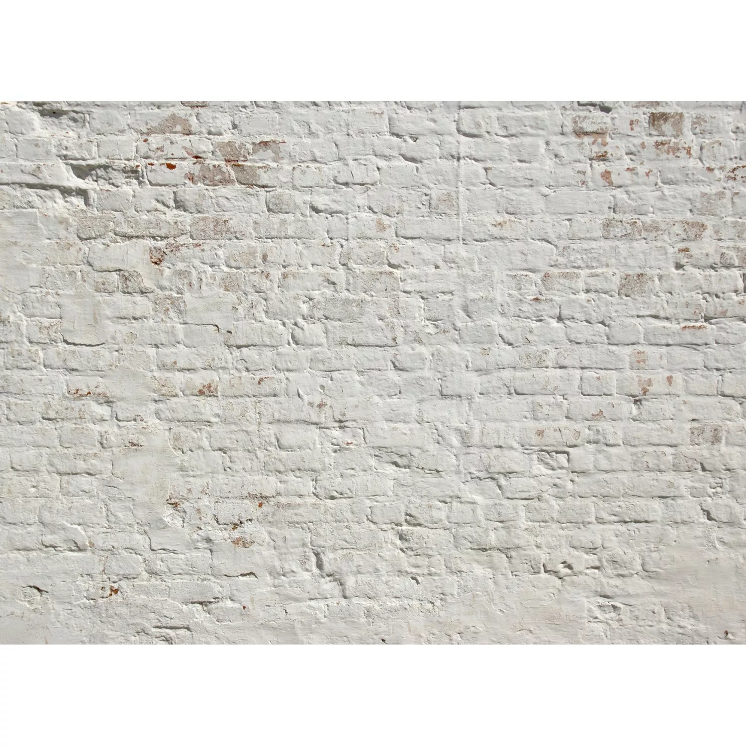 Fototapete Steinwand Klinker Industrial Vintage Weiß 3,50 m x 2,55 m FSC® günstig online kaufen