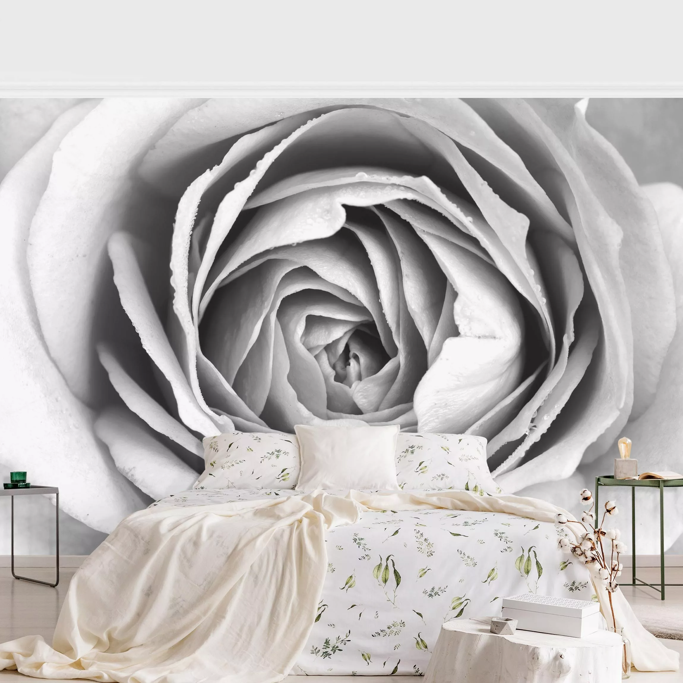 Fototapete Rosa Rosenblüte Schwarz-Weiß günstig online kaufen