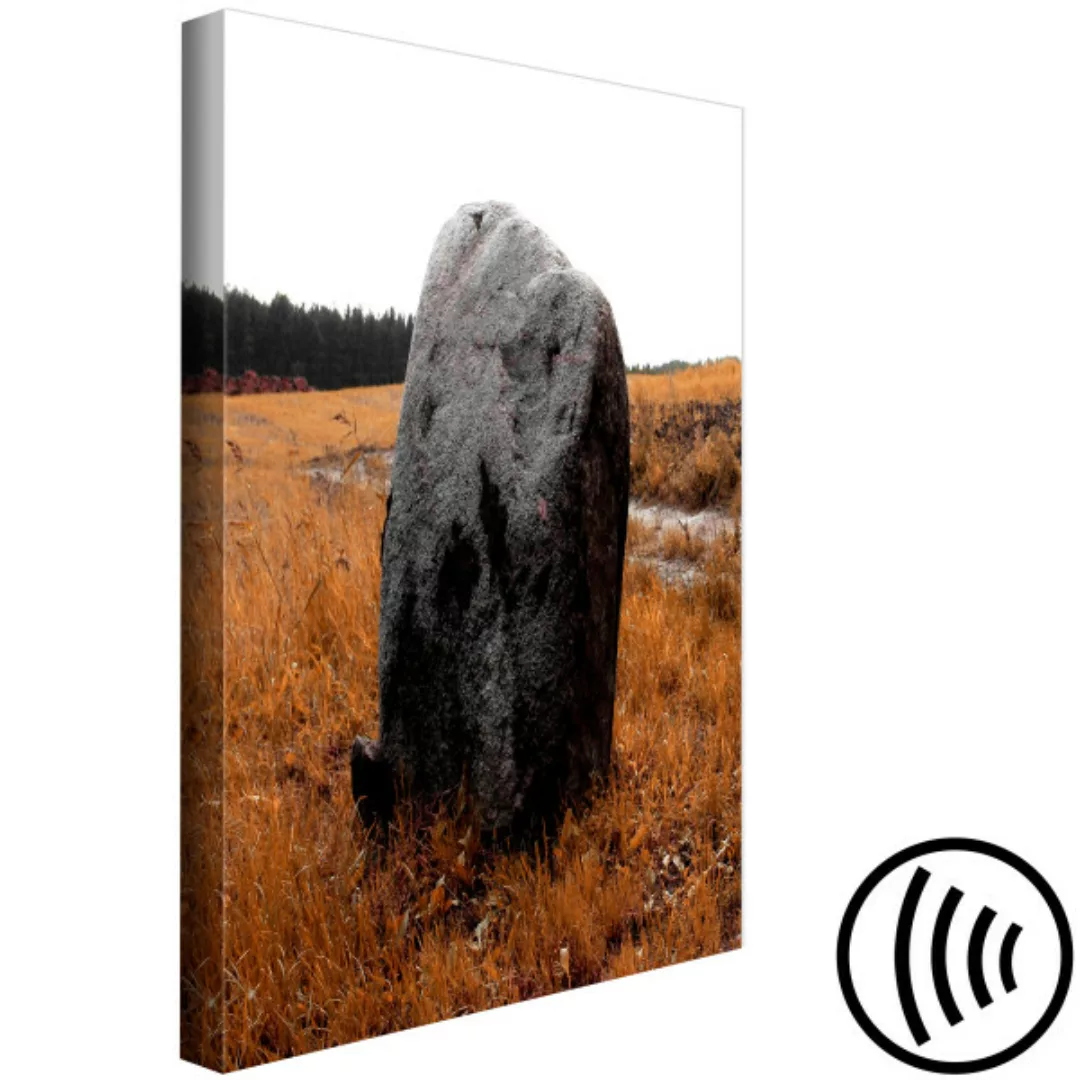 Bild auf Leinwand Fels auf der Wiese - herbstliche Landschaft mit Stein auf günstig online kaufen