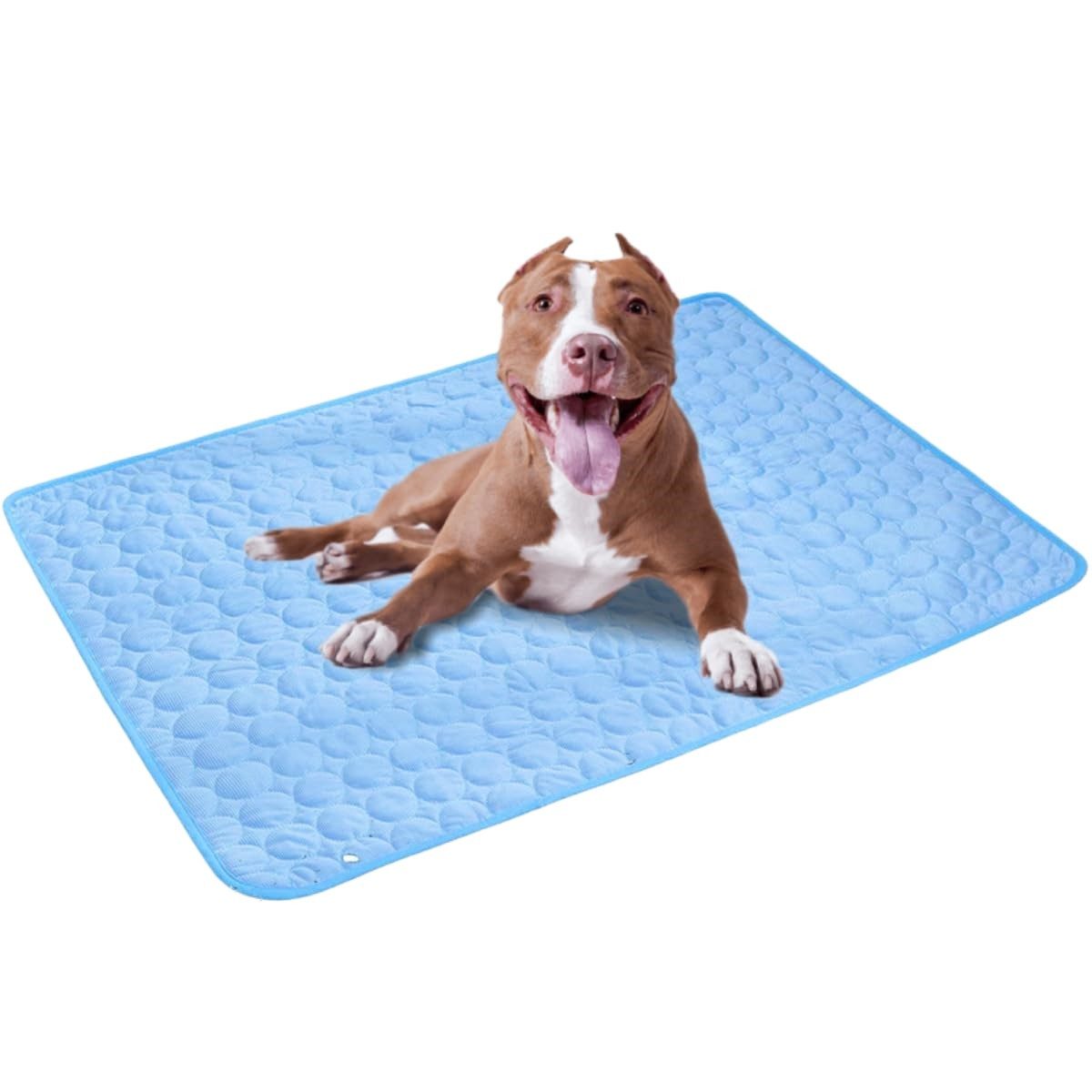 Kaket Hundematte Kühlmatte Hund blau, für günstig online kaufen