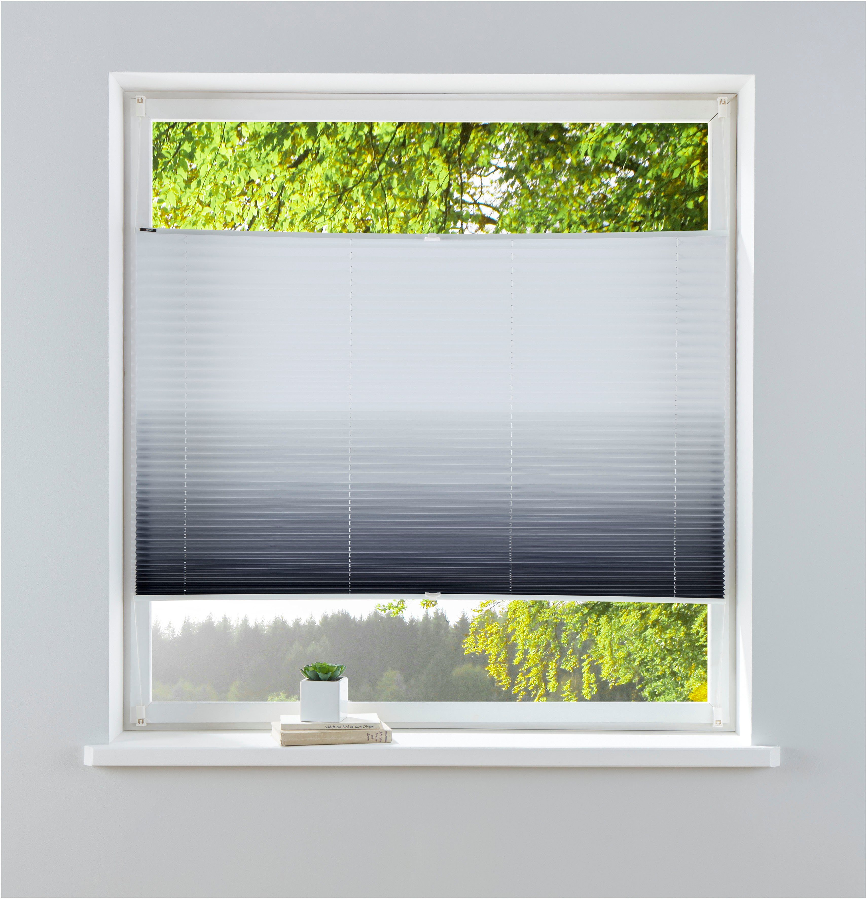 my home Plissee »Ombré«, Lichtschutz, ohne Bohren, verspannt, Fixmaß, Farbv günstig online kaufen