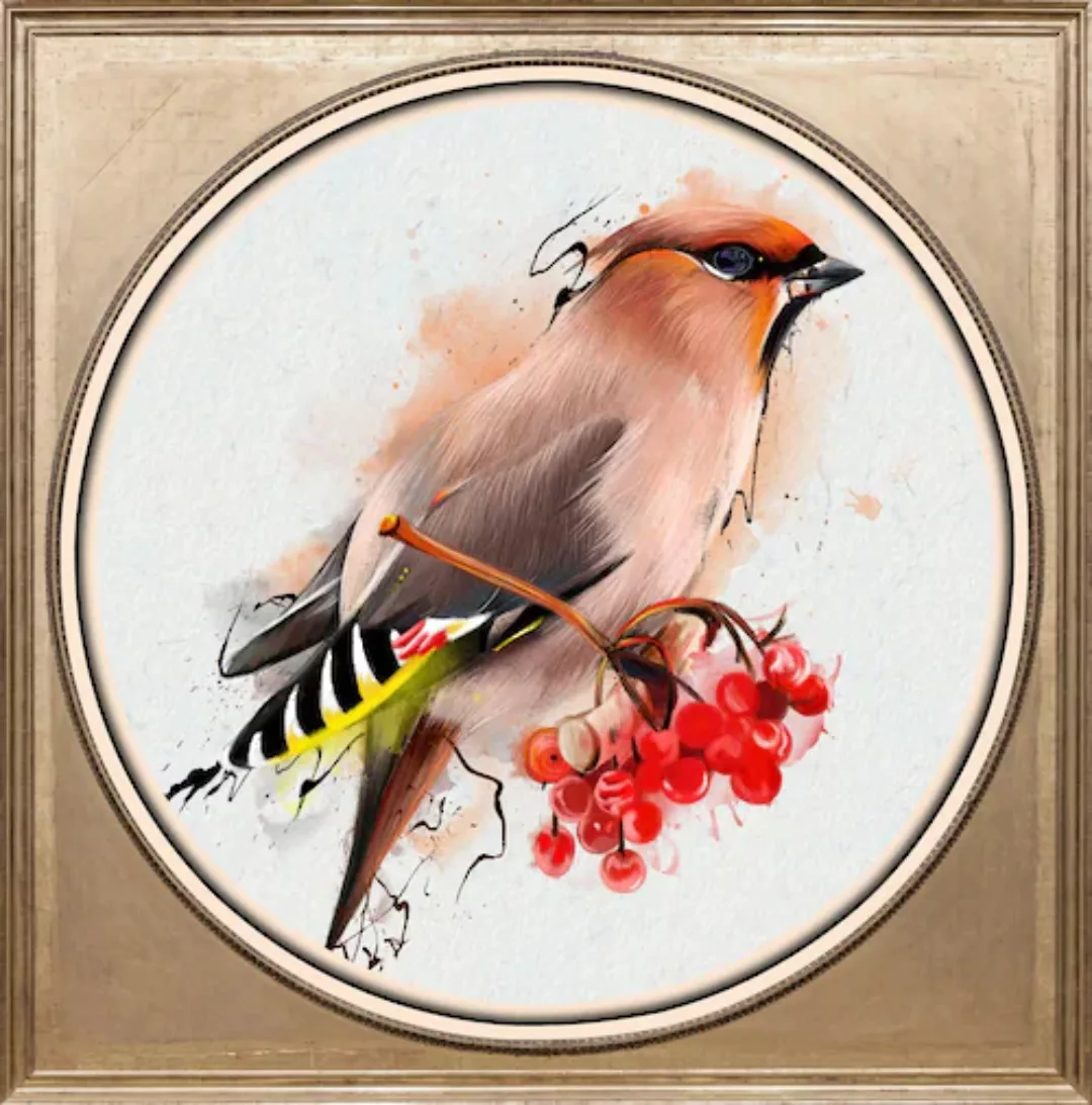 queence Acrylglasbild "Bunter Vogel II" günstig online kaufen
