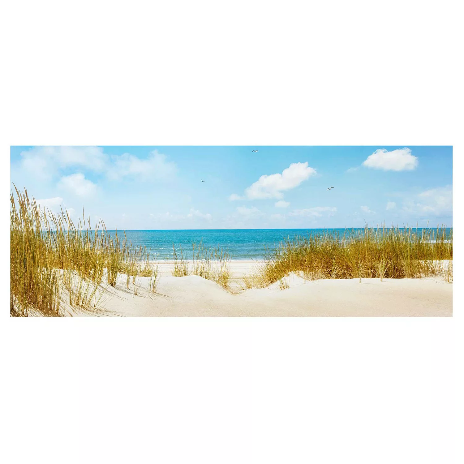 Glasbild Natur & Landschaft - Panorama Strand an der Nordsee günstig online kaufen