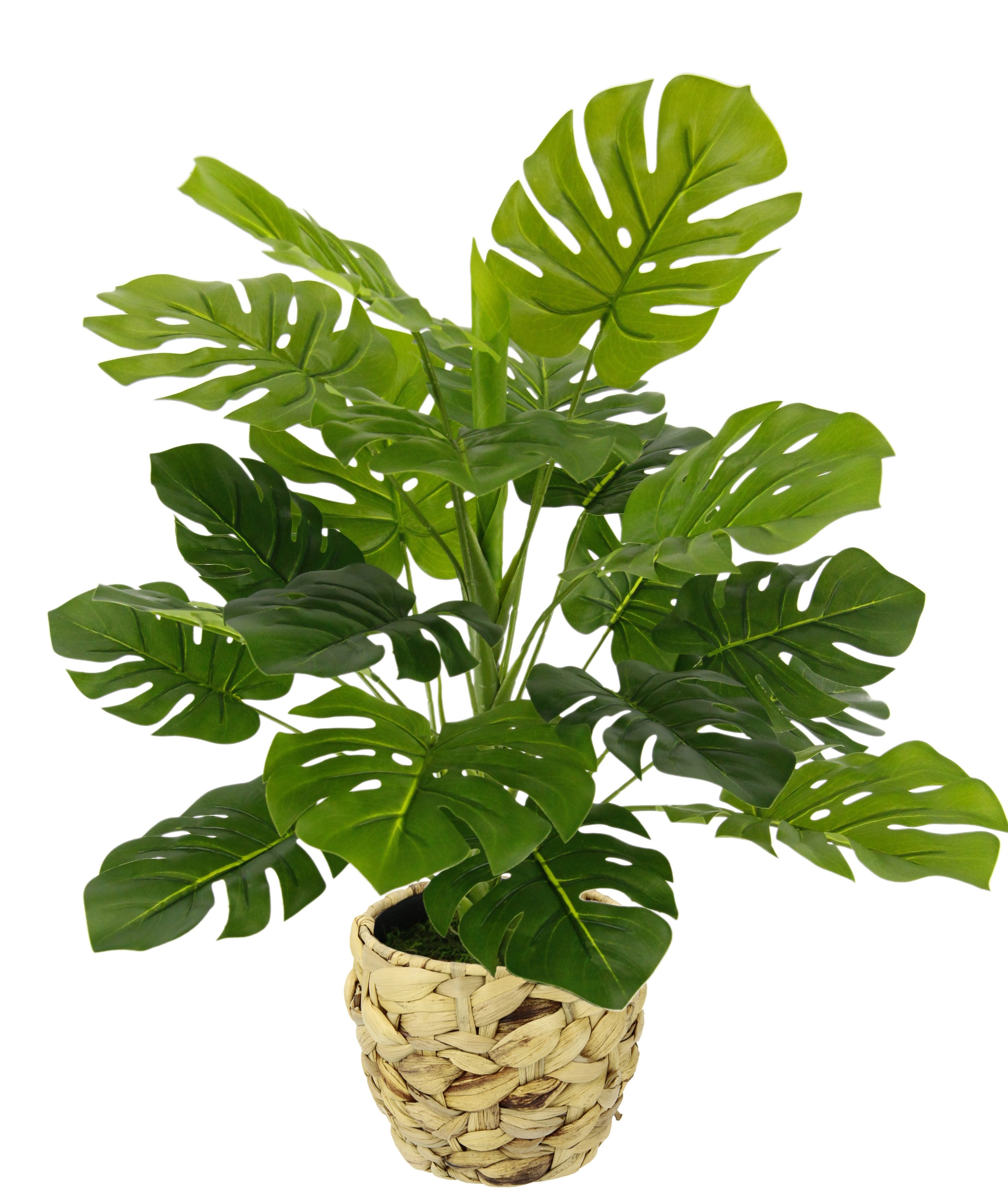 Kunstpflanze Monstera, I.GE.A., Höhe 46 cm, günstig online kaufen