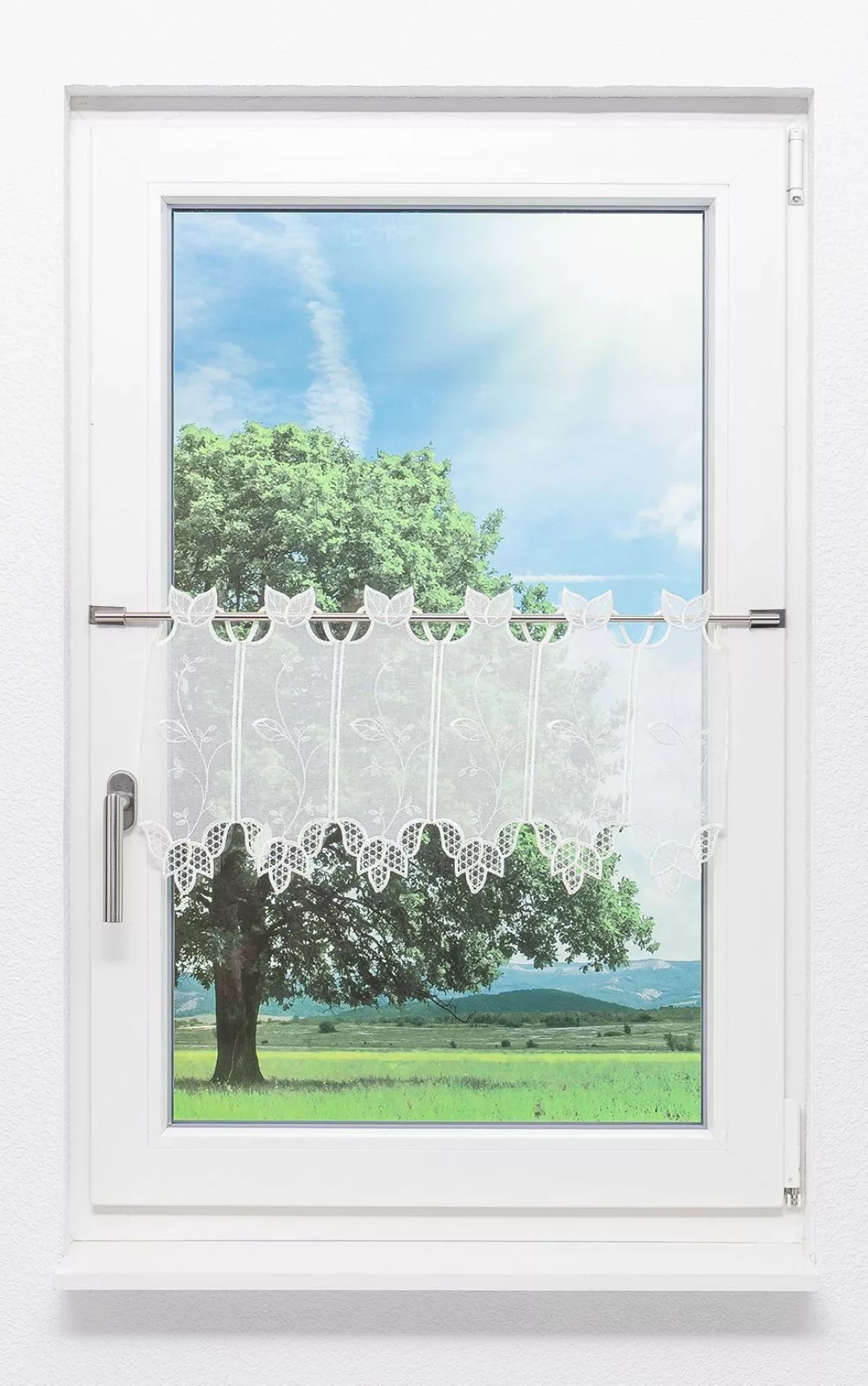 LYSEL® Scheibengardine Blätterranke, (1 St), transparent, günstig online kaufen