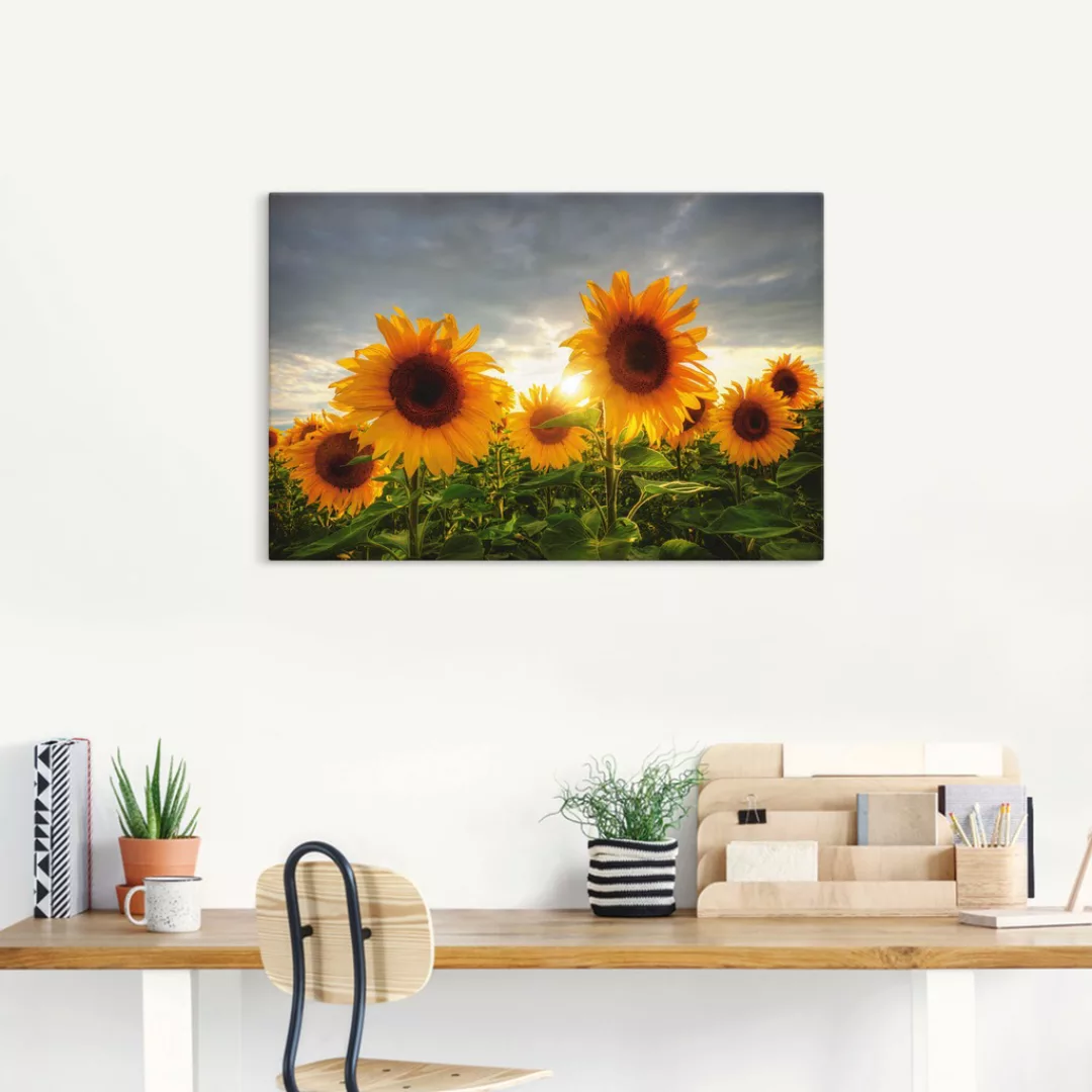 Artland Wandbild "Sonnenblumen II", Blumen, (1 St.), als Leinwandbild, Post günstig online kaufen