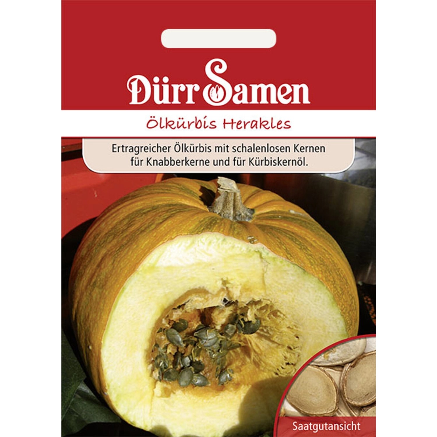 Dürr Samen Ölkürbis Herakles Saatgut günstig online kaufen